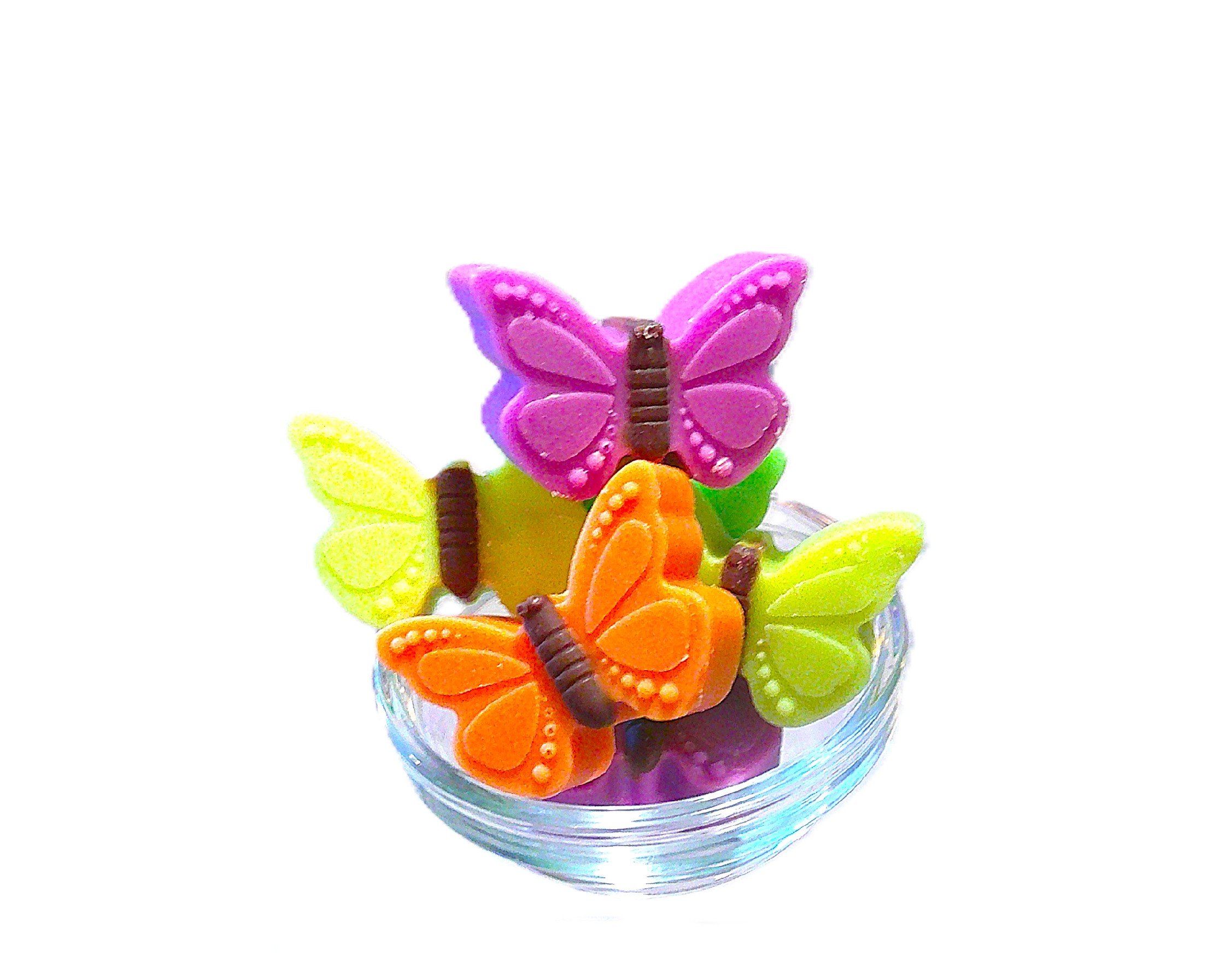 butterfly garden 1.JPG