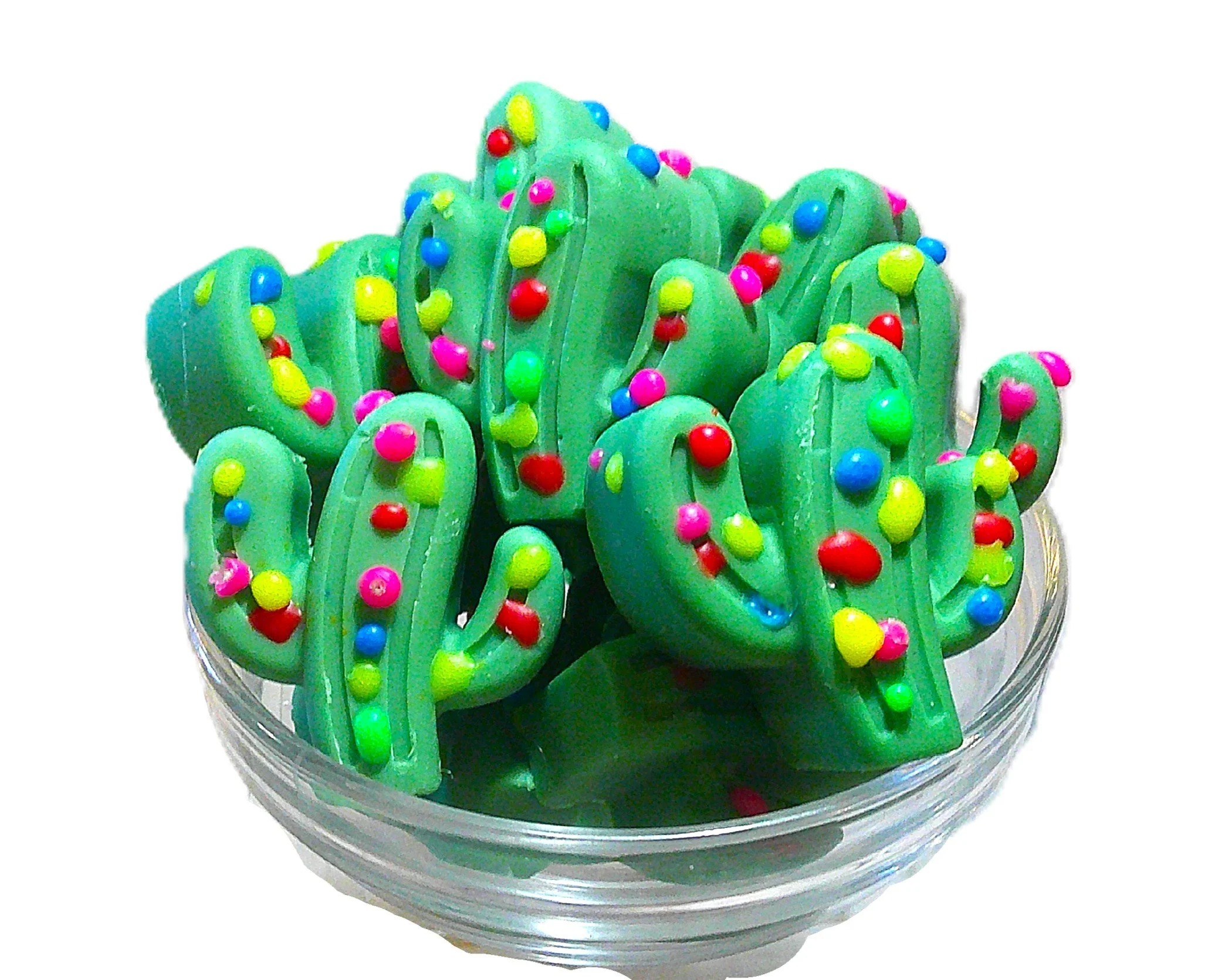 santa's seguaros 12.JPG