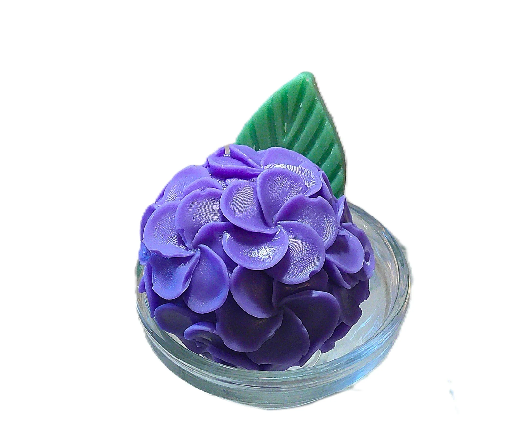 hyacinth and hydrangea 3.JPG