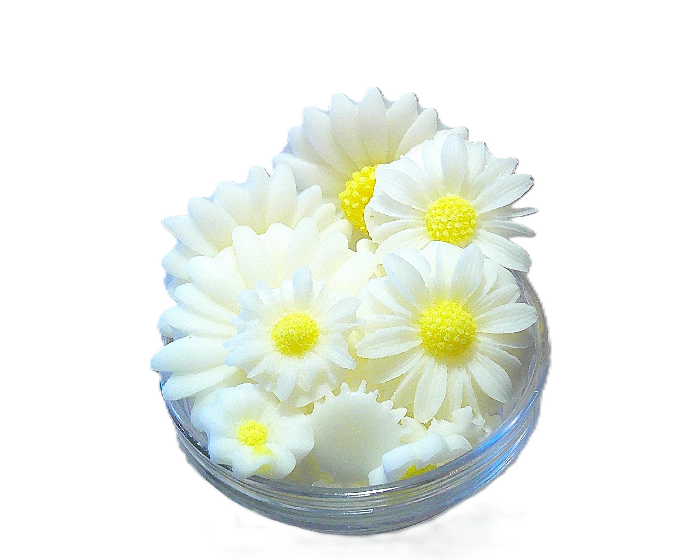 fresh as a daisy 2.JPG