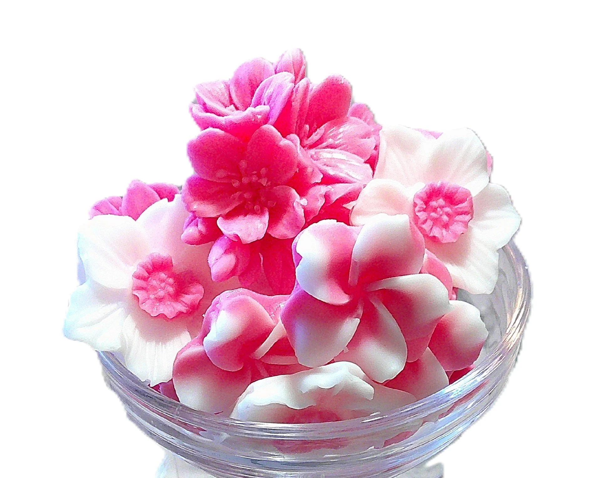 Cherry Blossom Festival - NEW!!