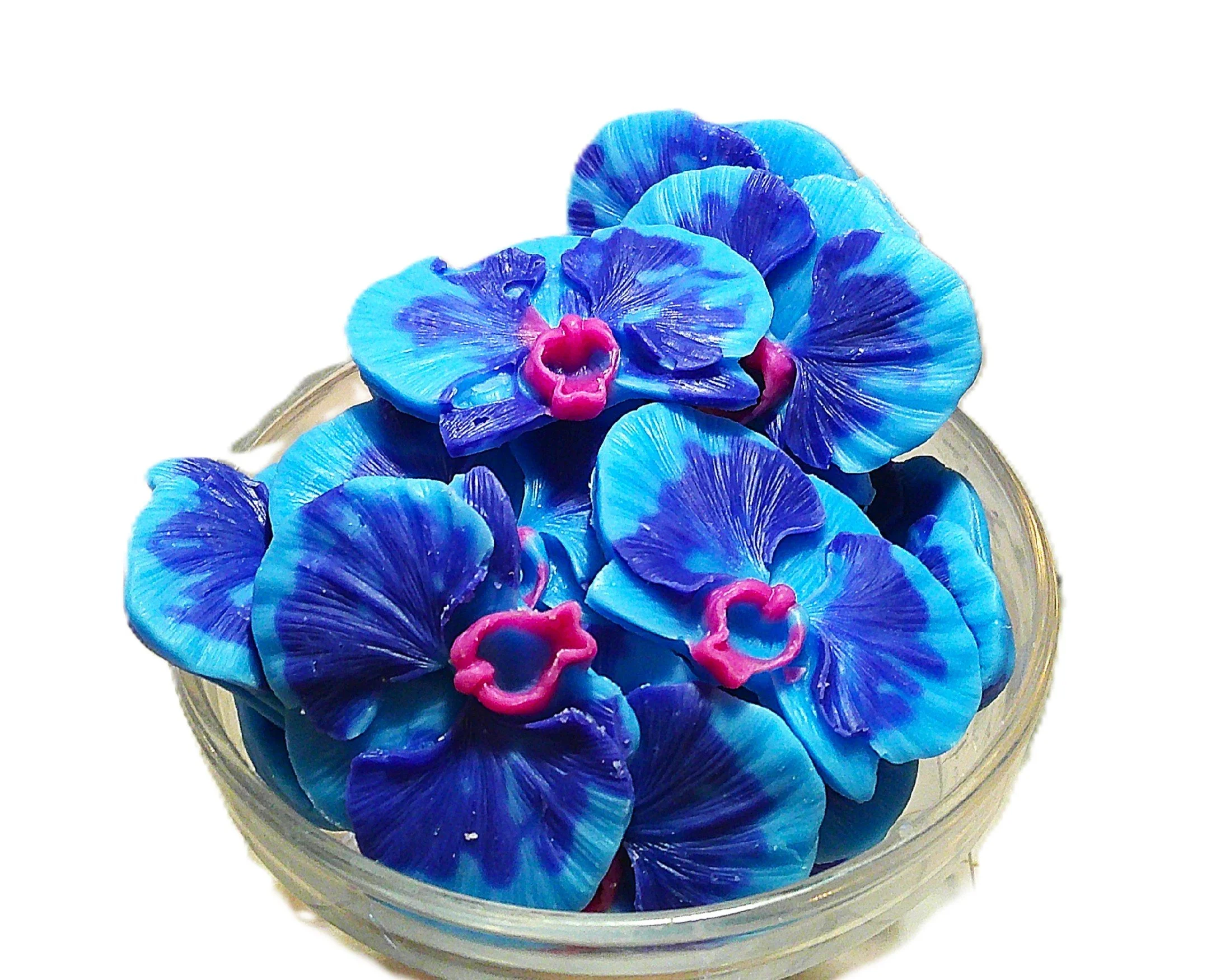 enchanted orchid 12.JPG