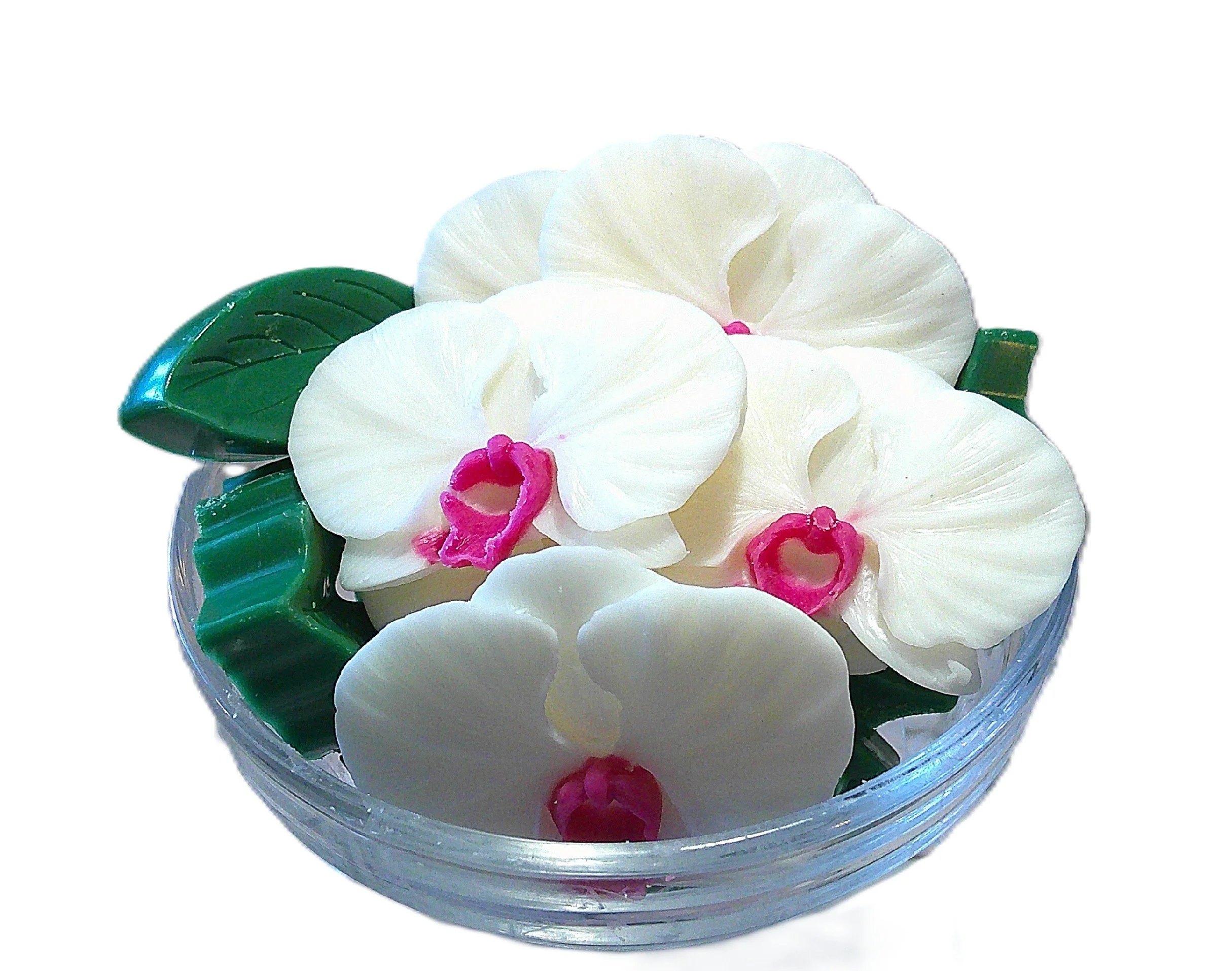 extraordinary orchid 3.JPG