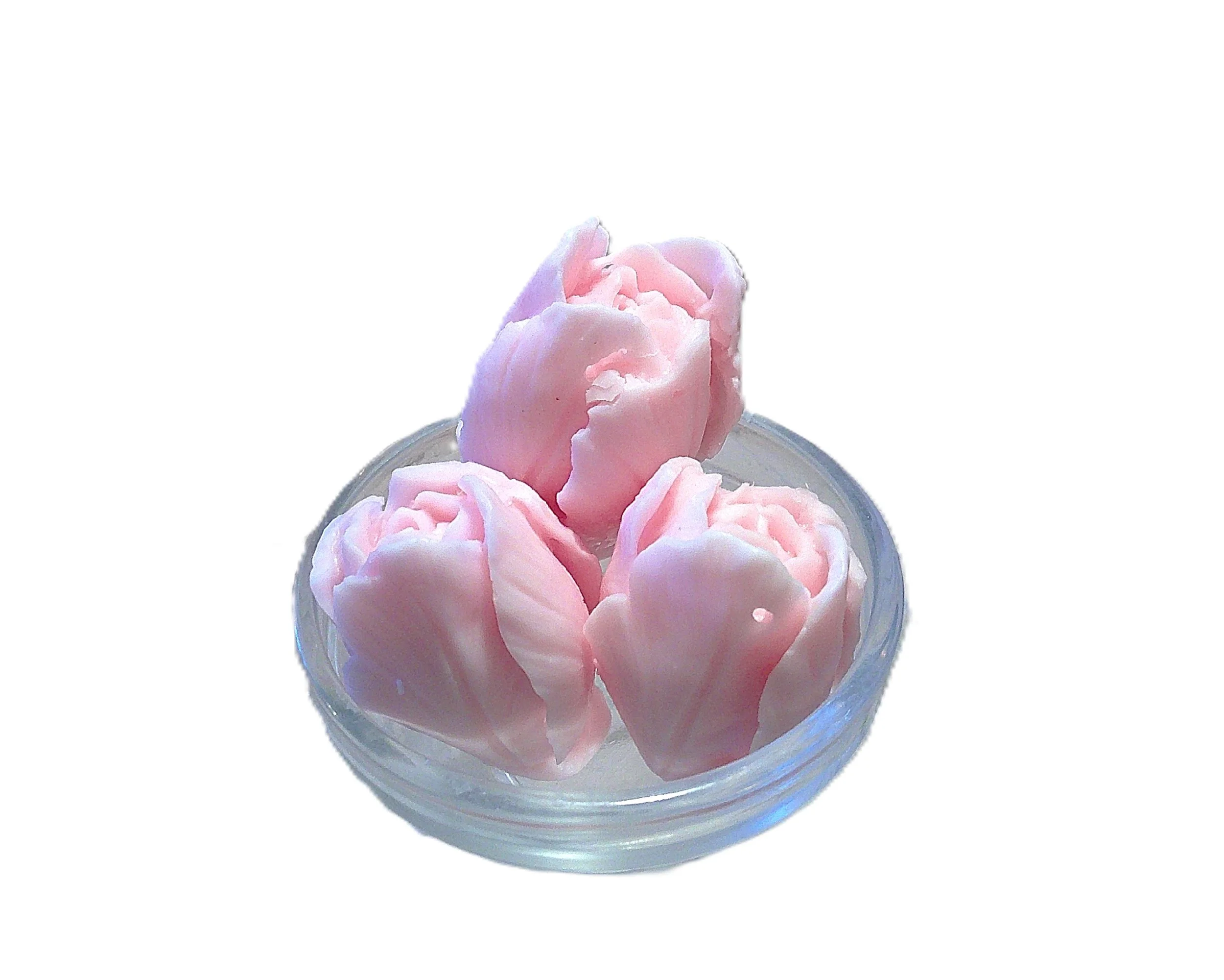 falling in love rose buds 1.JPG