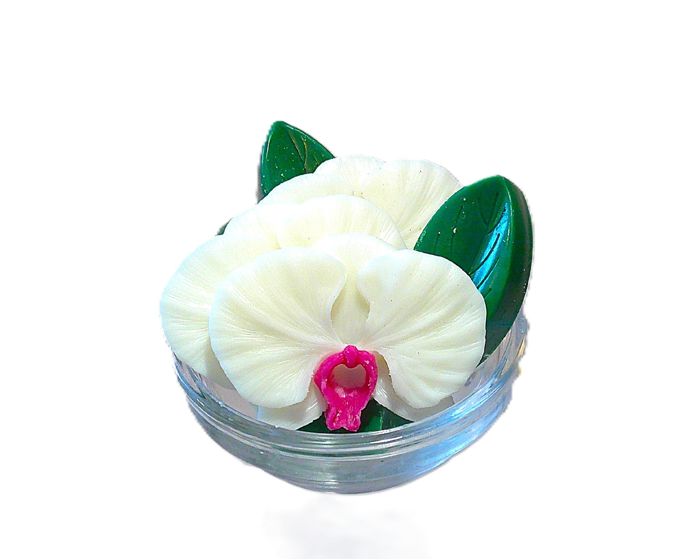 extraordinary orchid 1.JPG