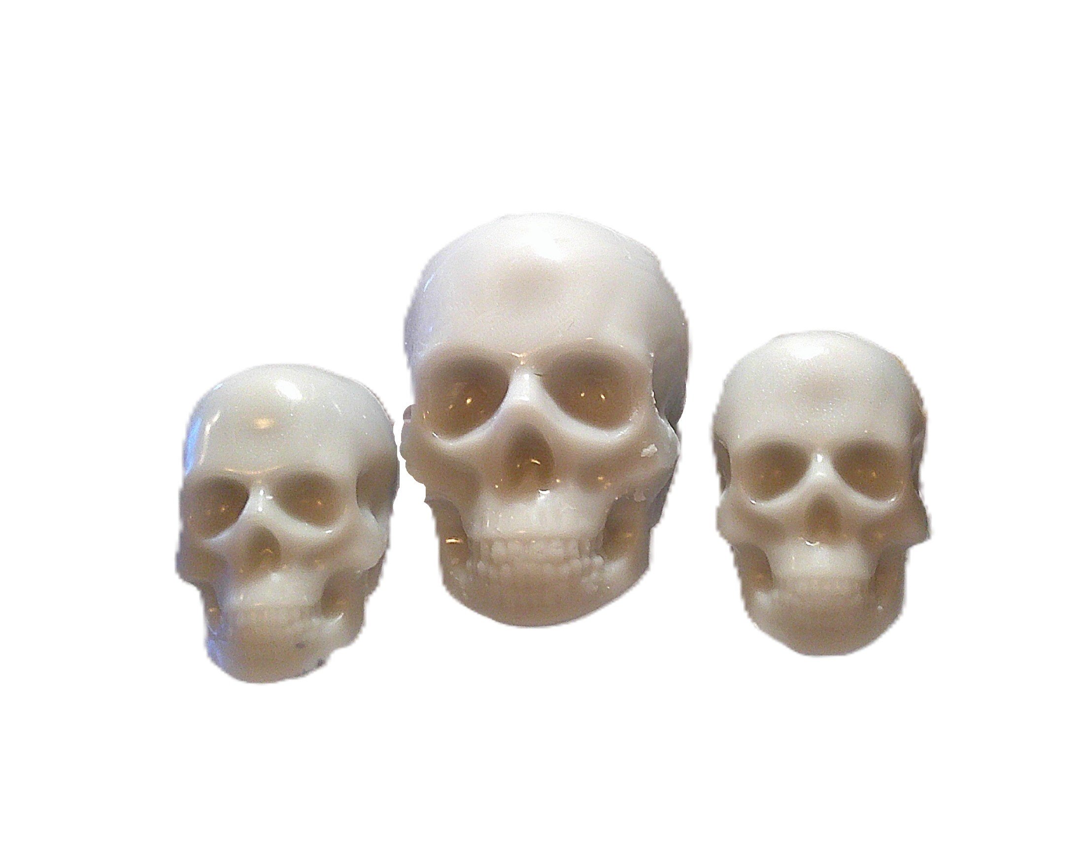 scary skulls 5.JPG (Copy)