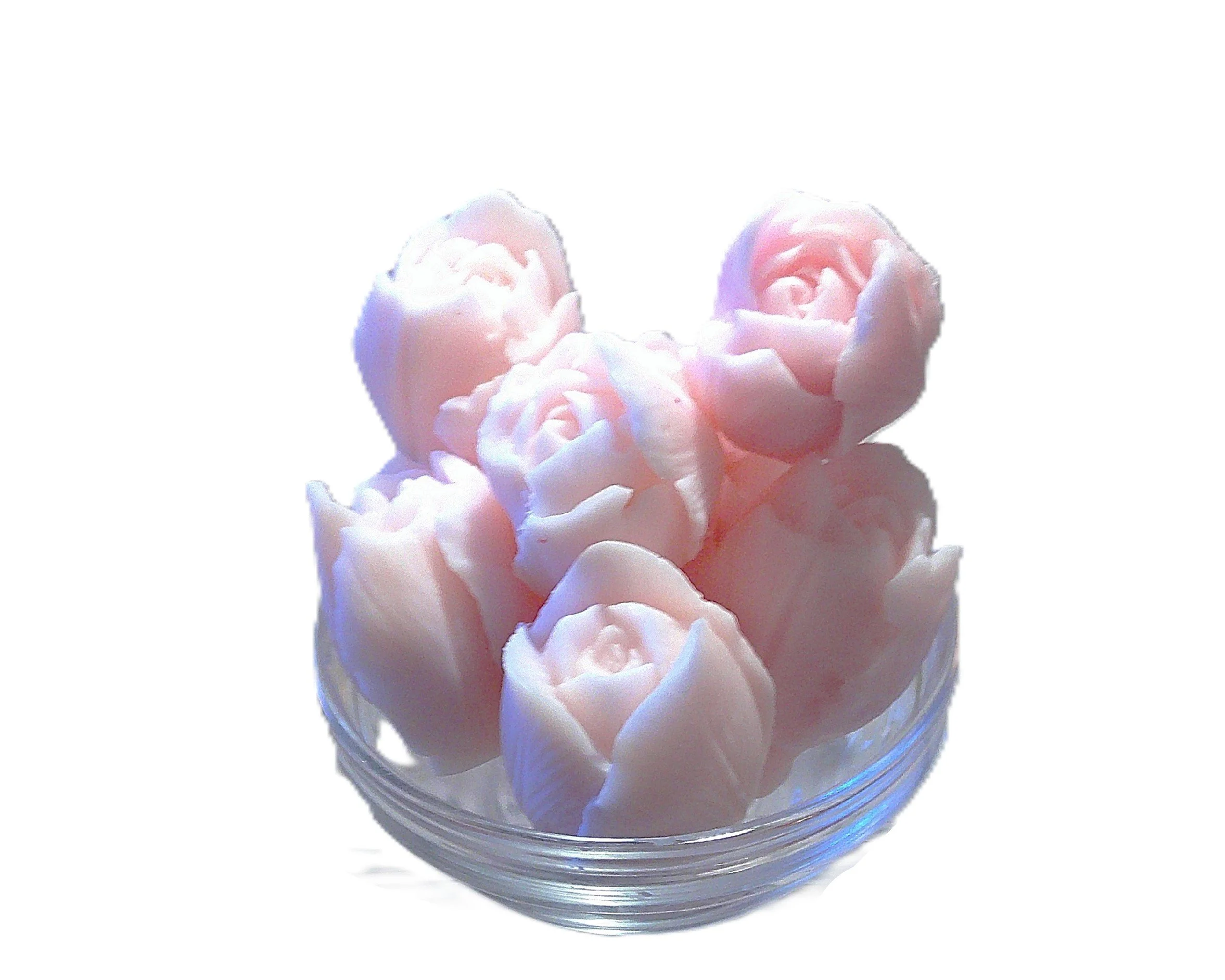 delicate pink rosebuds 2.JPG