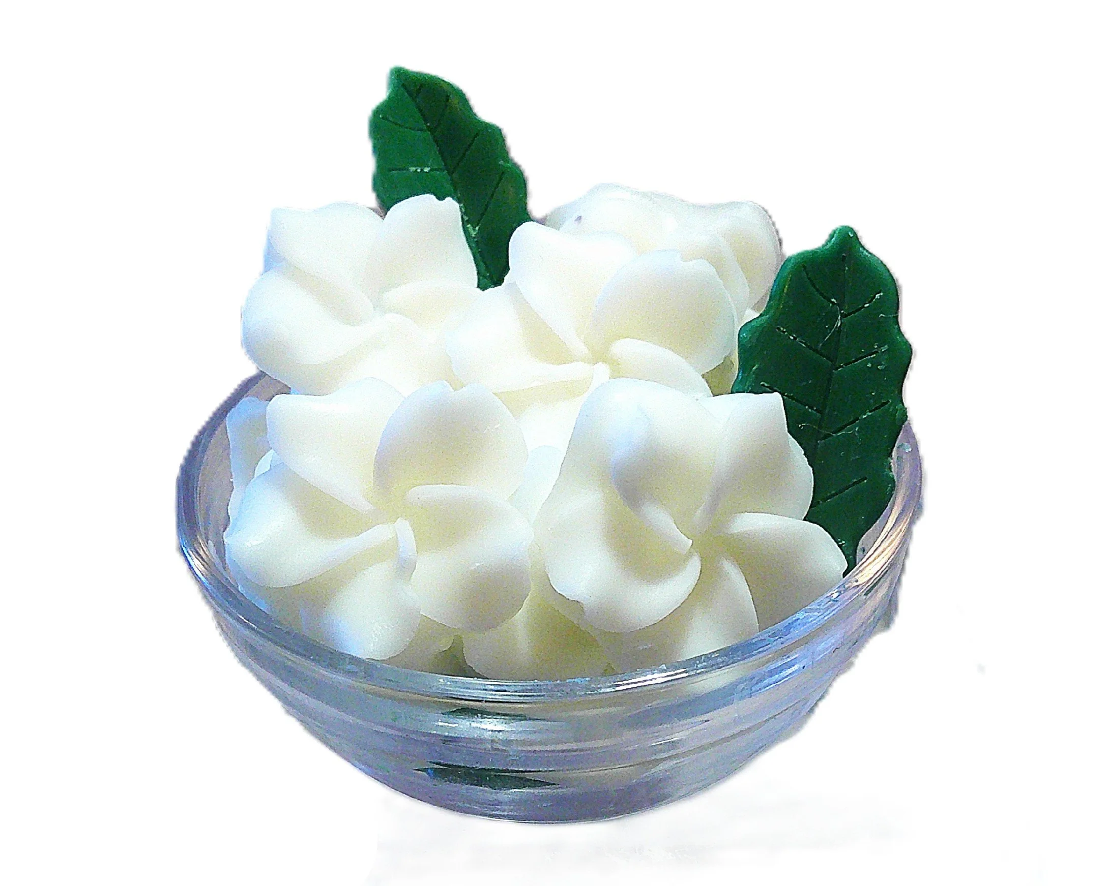 island gardenia 2.JPG