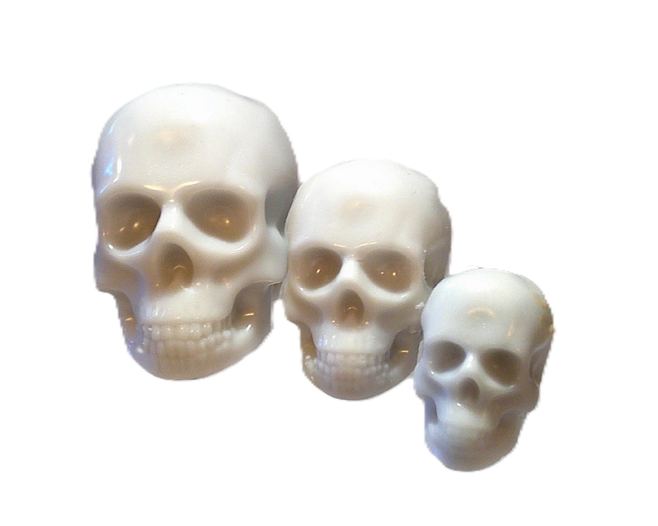 scary skulls 6.JPG (Copy)