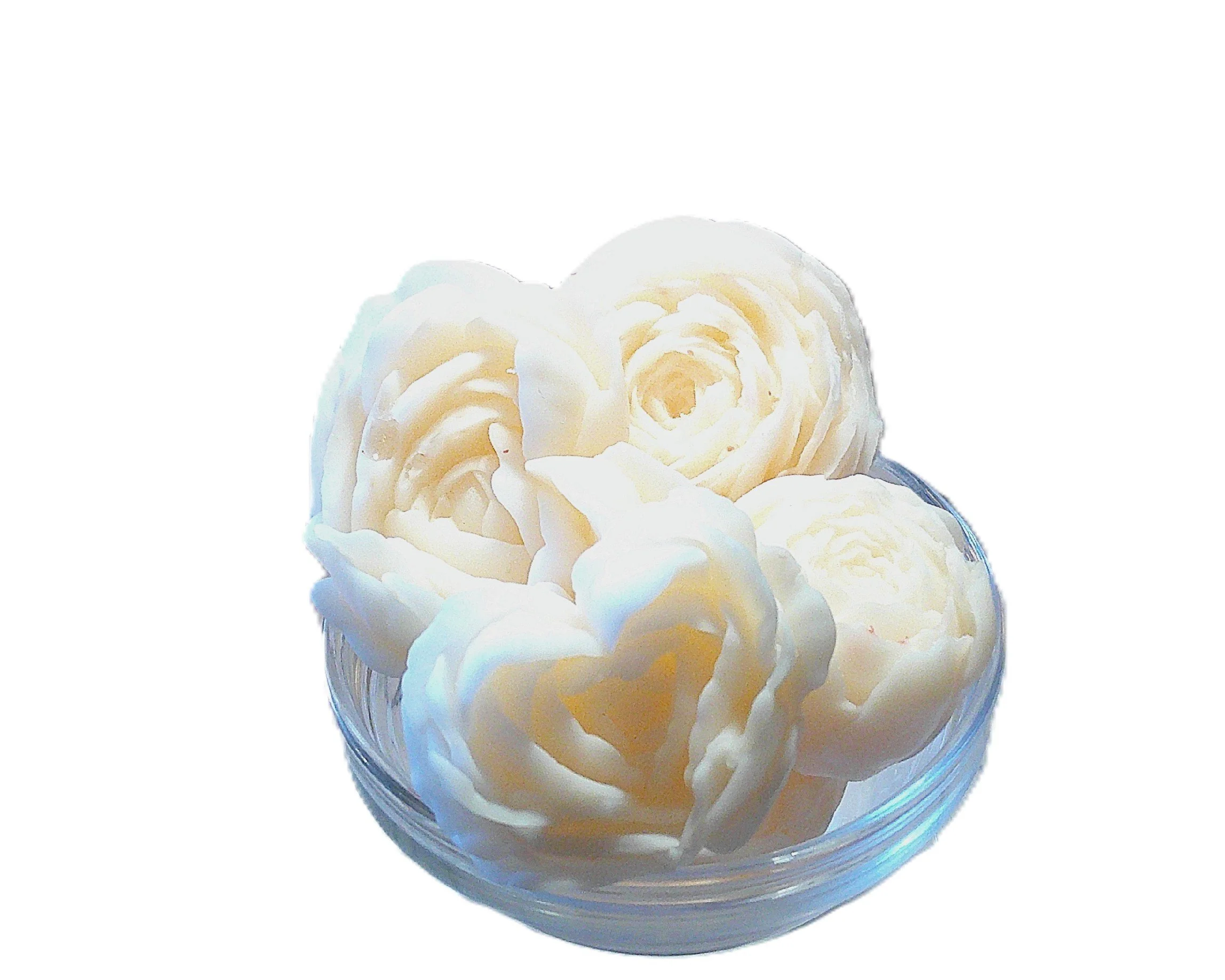 vanilla and orchid 6.JPG