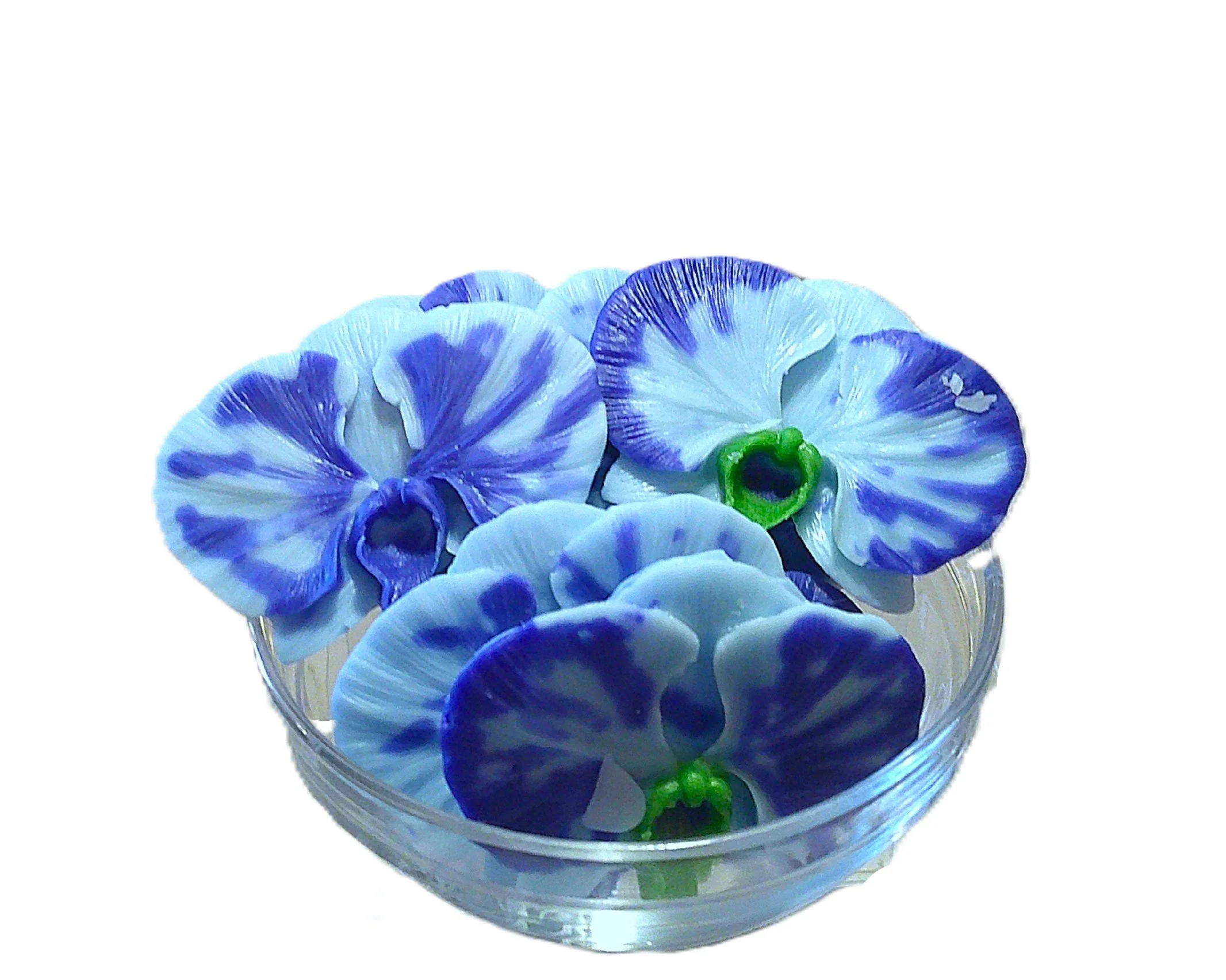 Sapphire Orchid Waters - NEW!