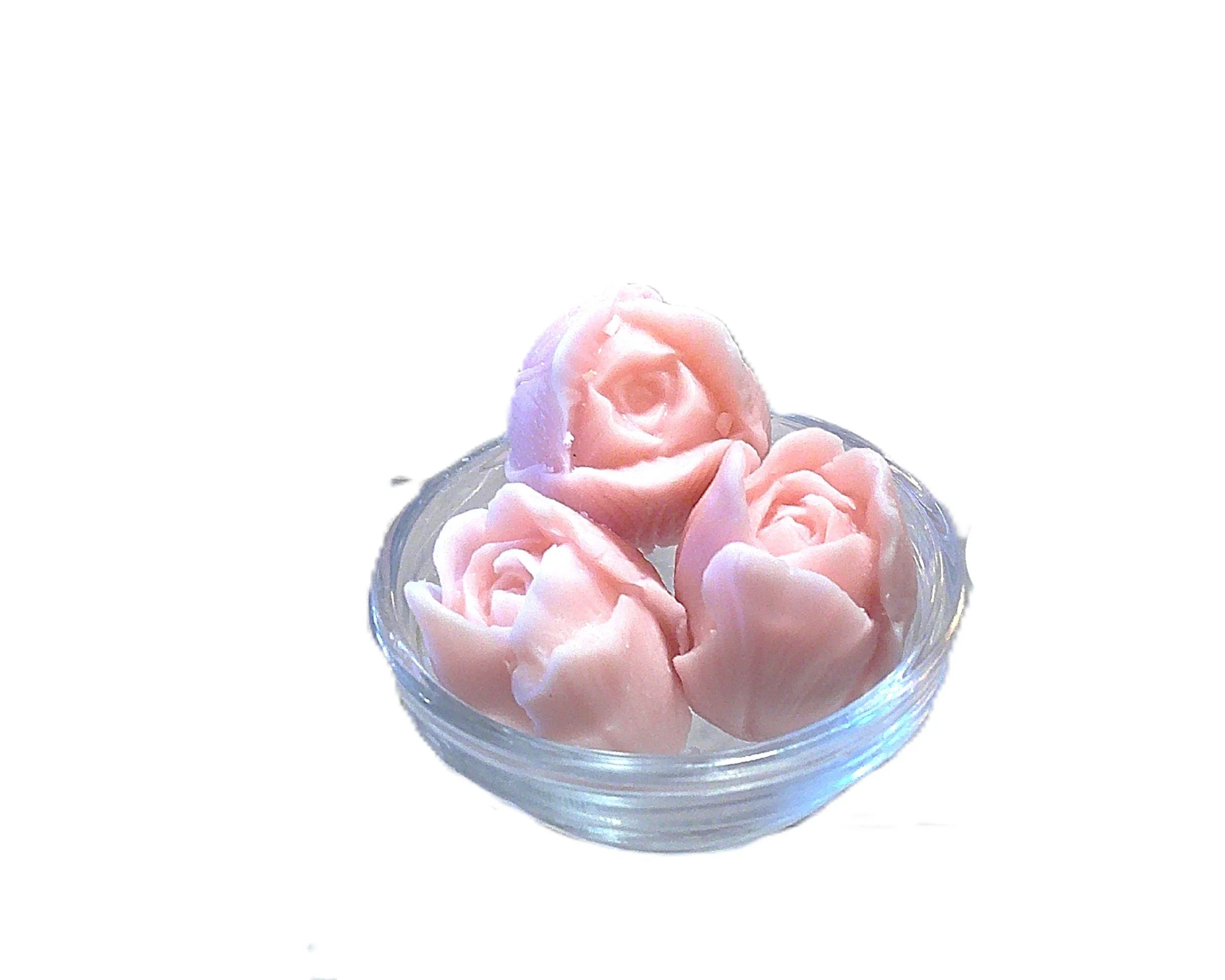 blushing tea rose 1.JPG