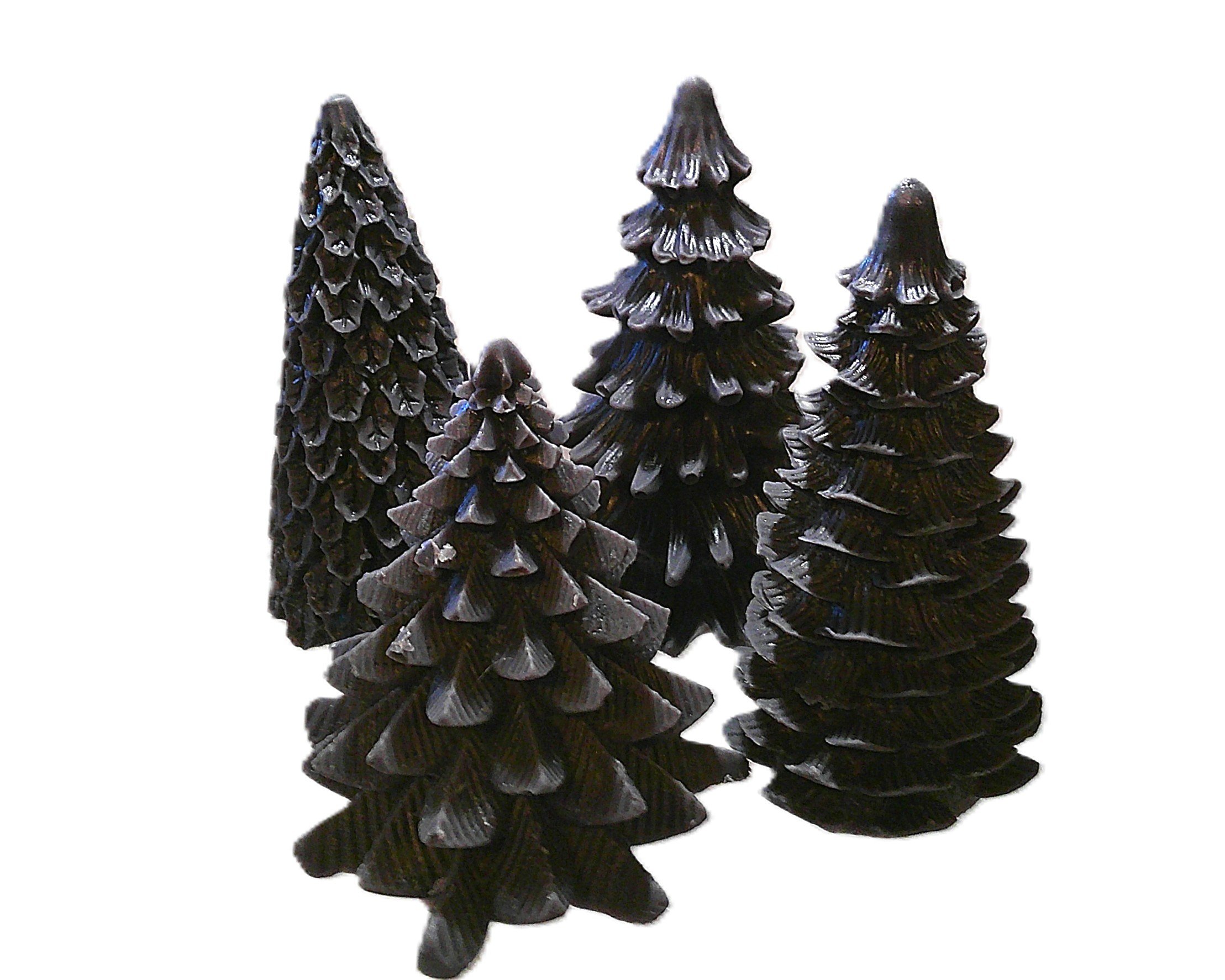 black forest 1.JPG