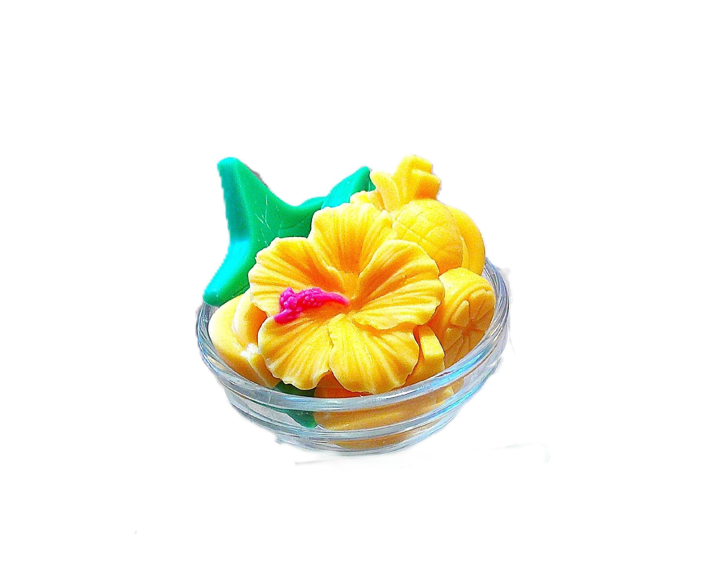 hawaiian punch hibiscus.JPG