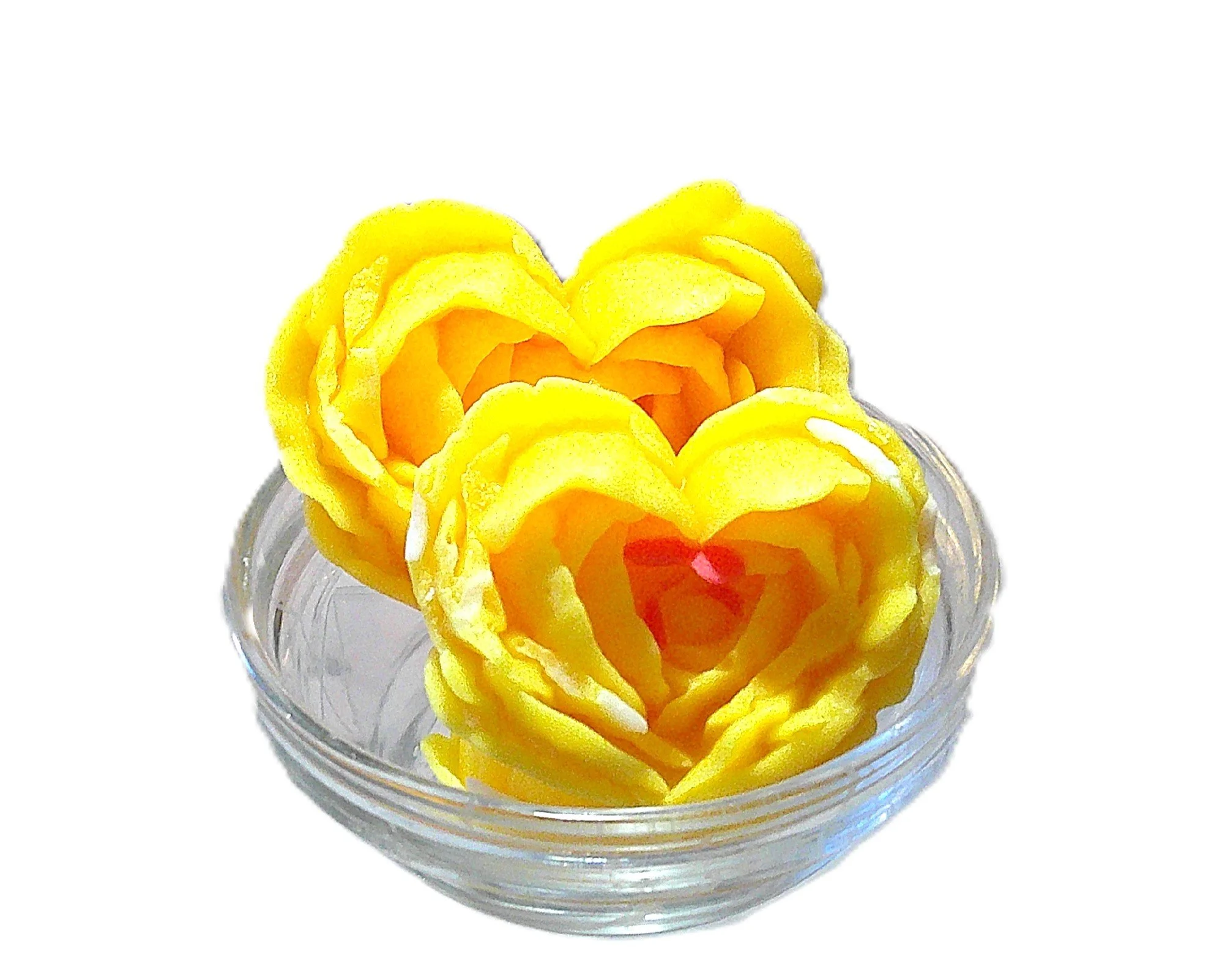 plumeria large 2.JPG