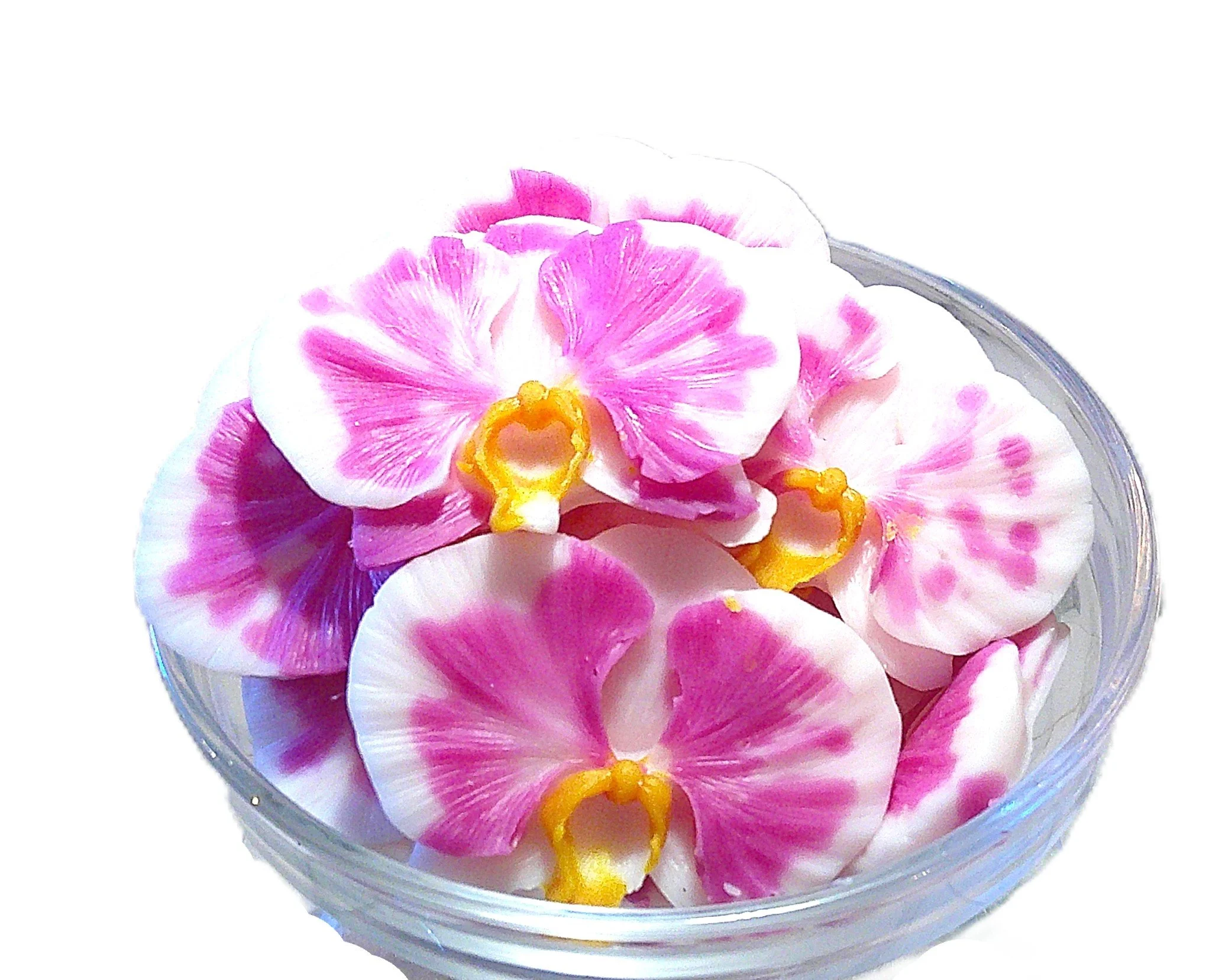 exotic orchid 12.JPG