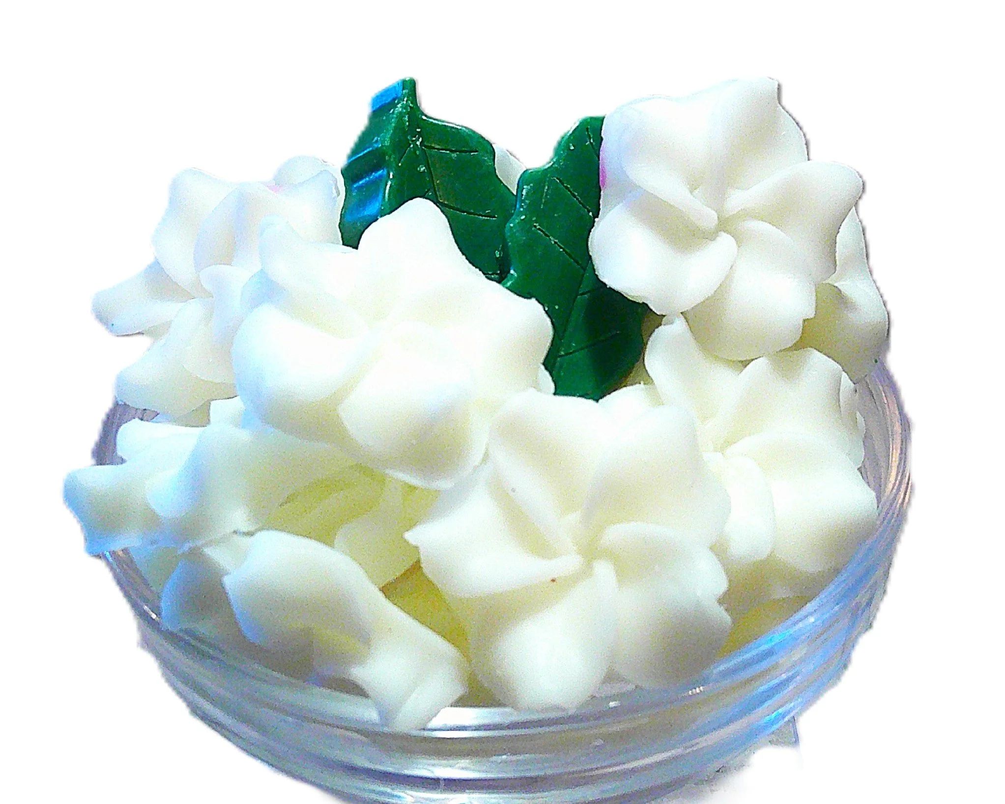 island gardenia 3.JPG