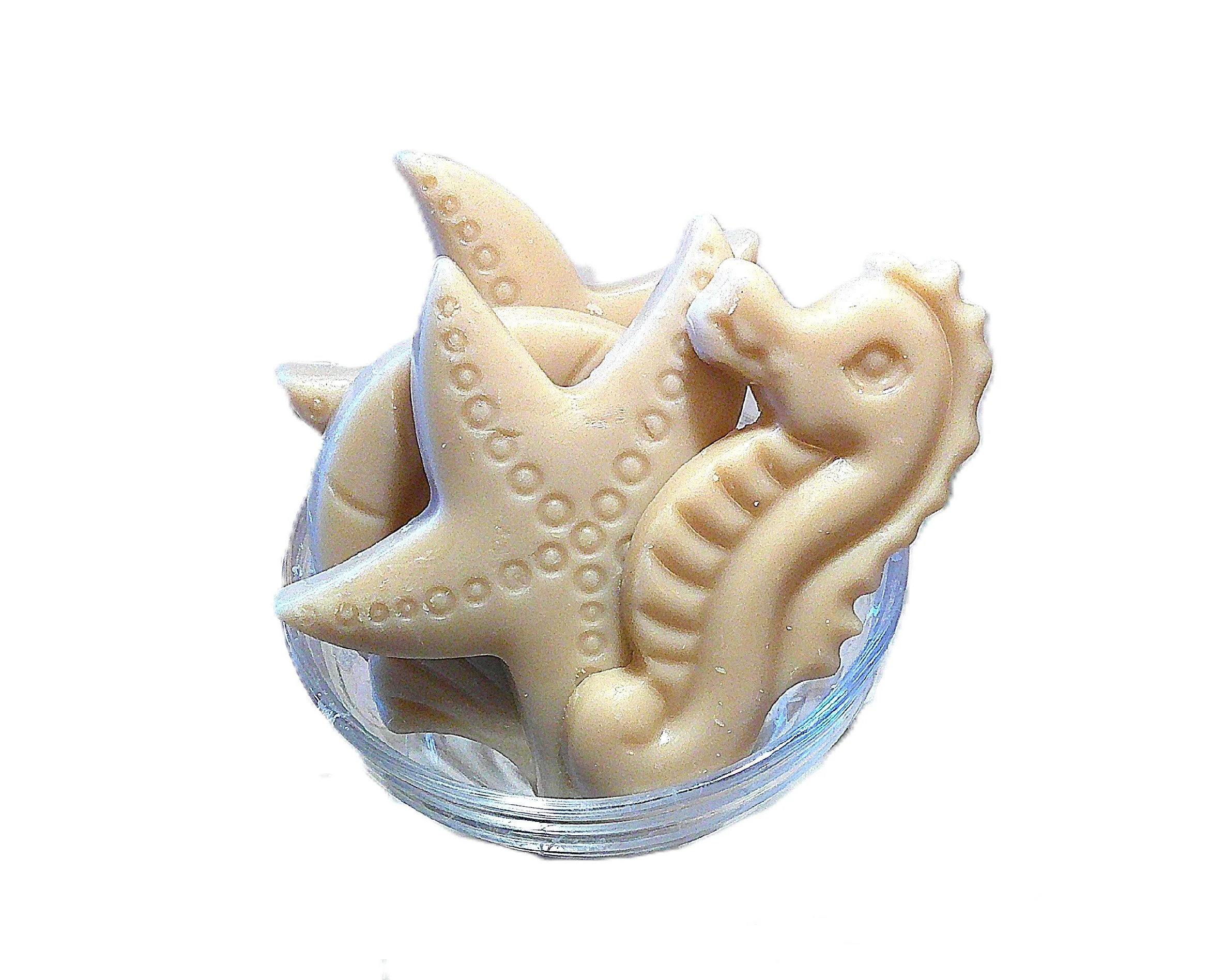 Seaside Serenity Giant Seashell Wax Melts