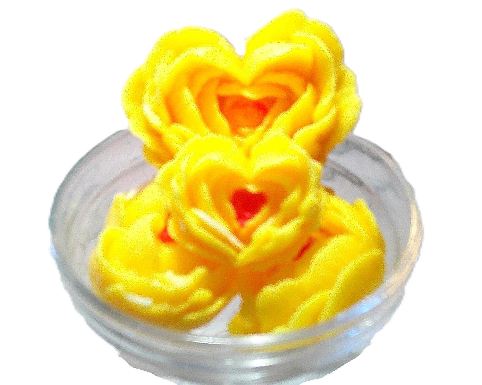 plumeria large 4.JPG