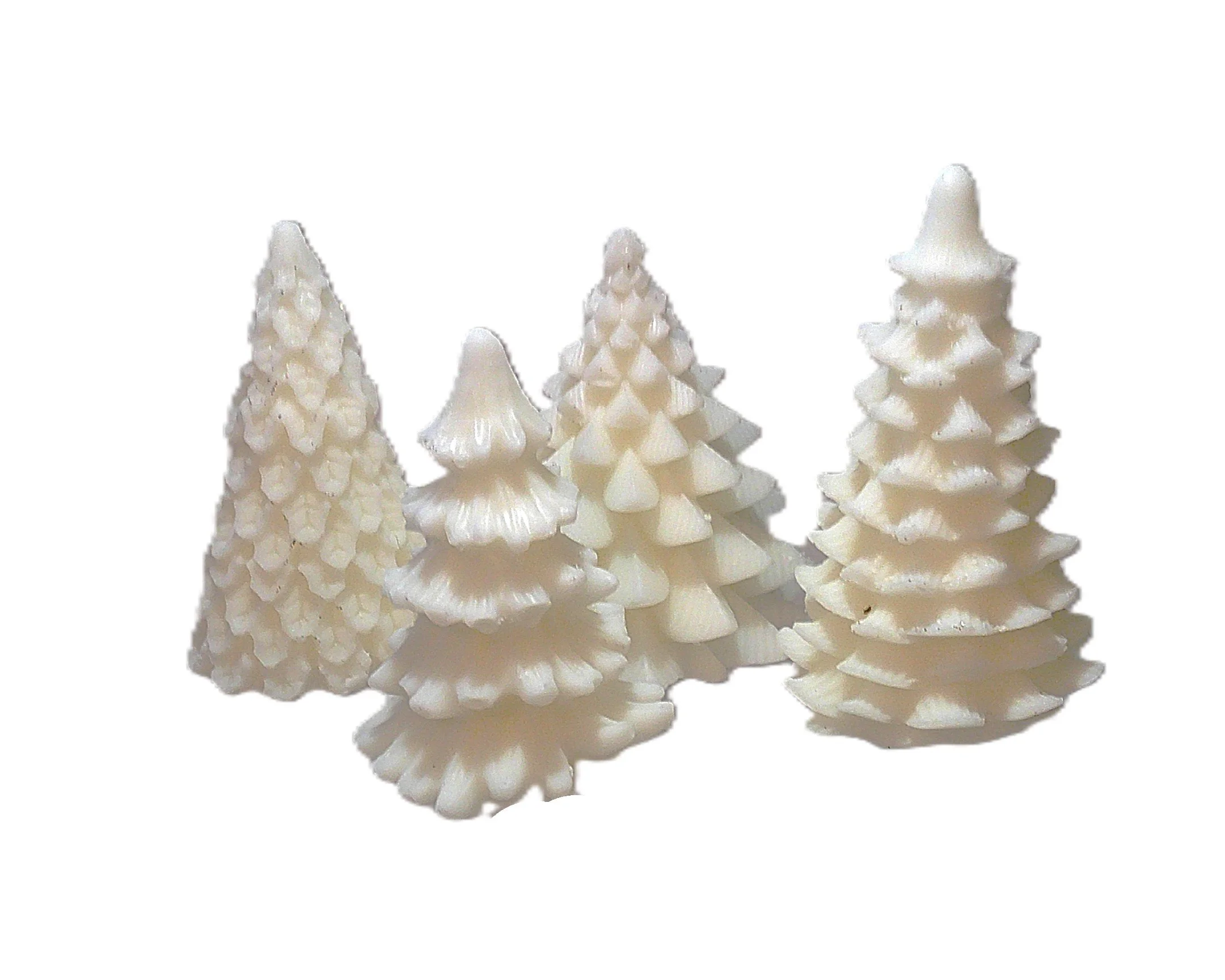 citrus & spruce trees 2.jpg