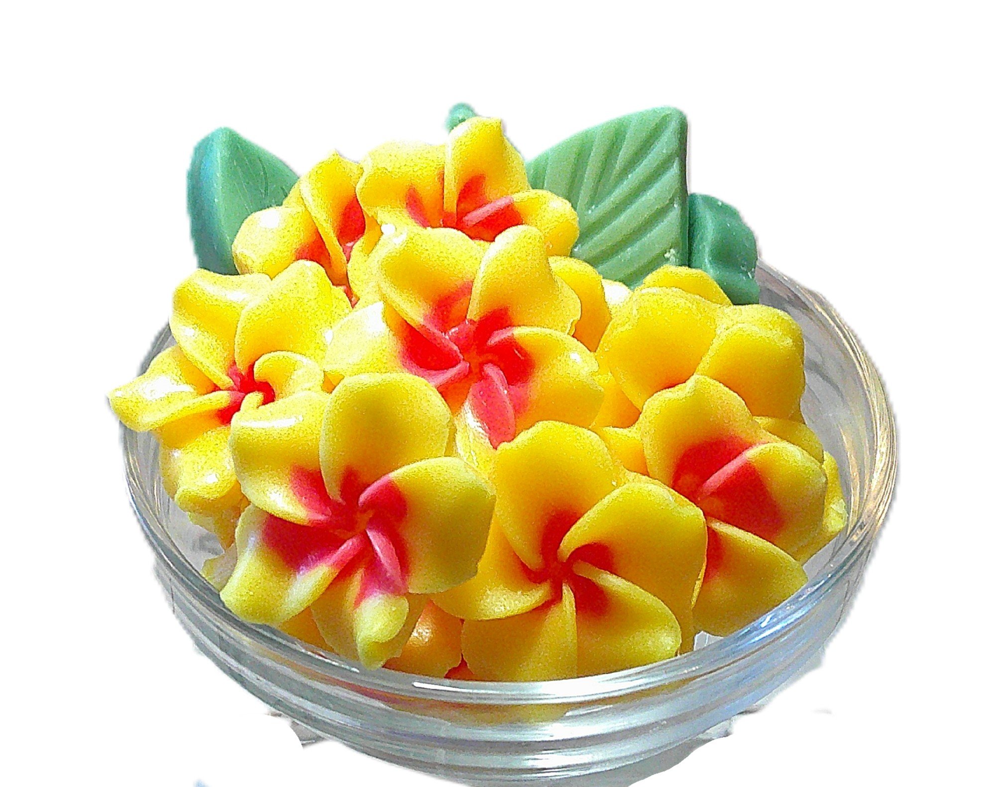 Passionfruit and Plumeria - NEW!!