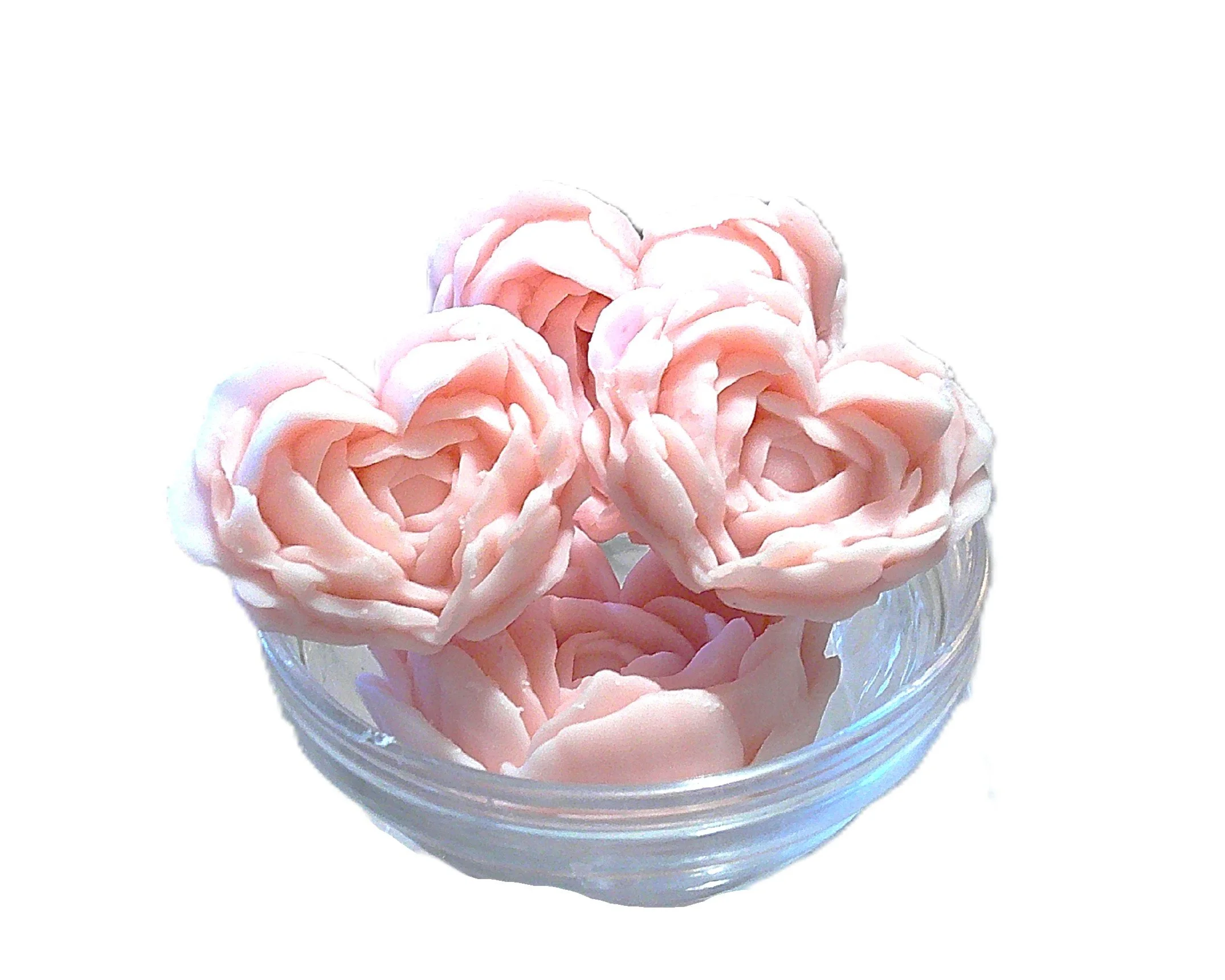 blushing tea rose 5.JPG