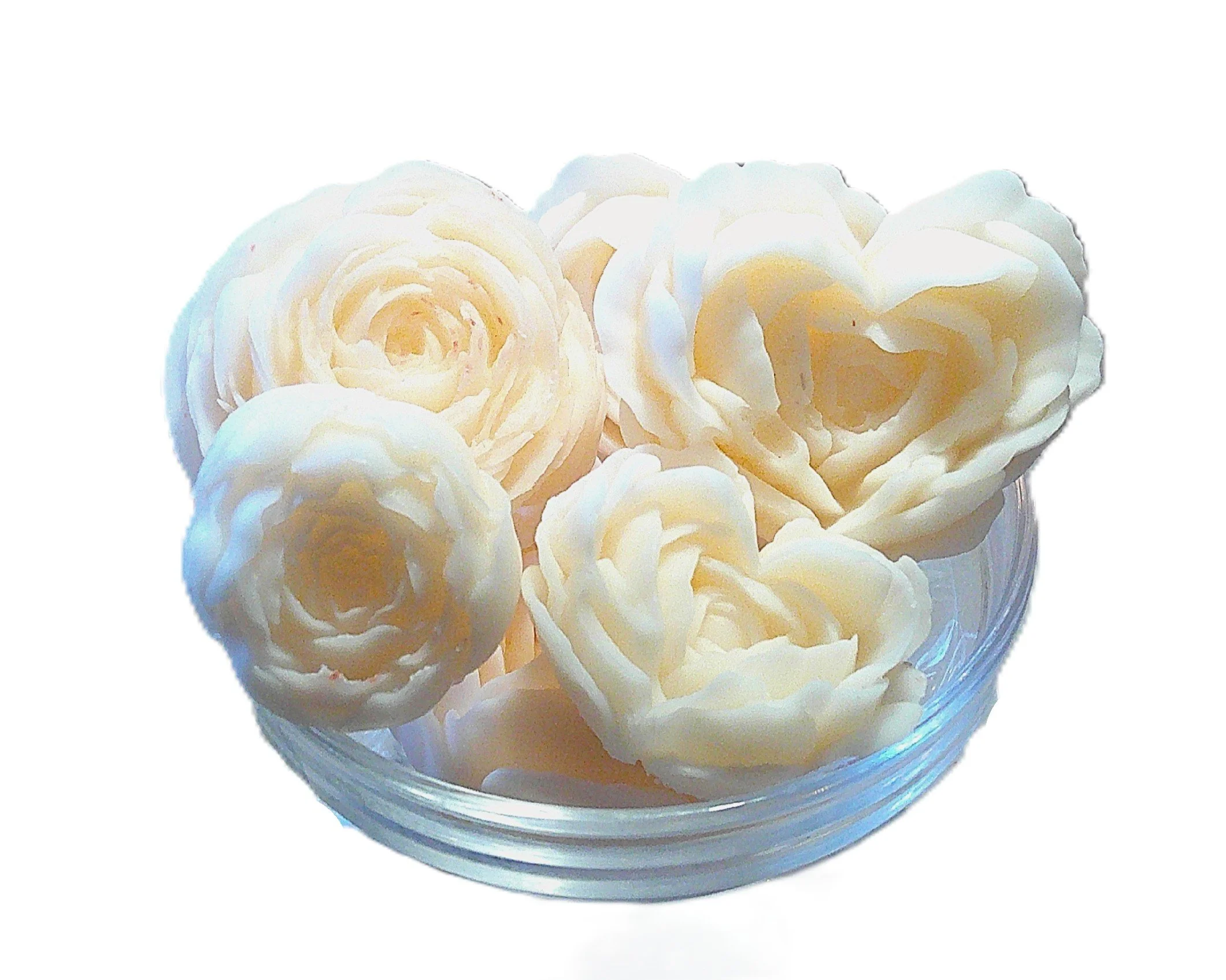 vanilla and orchid 12.JPG