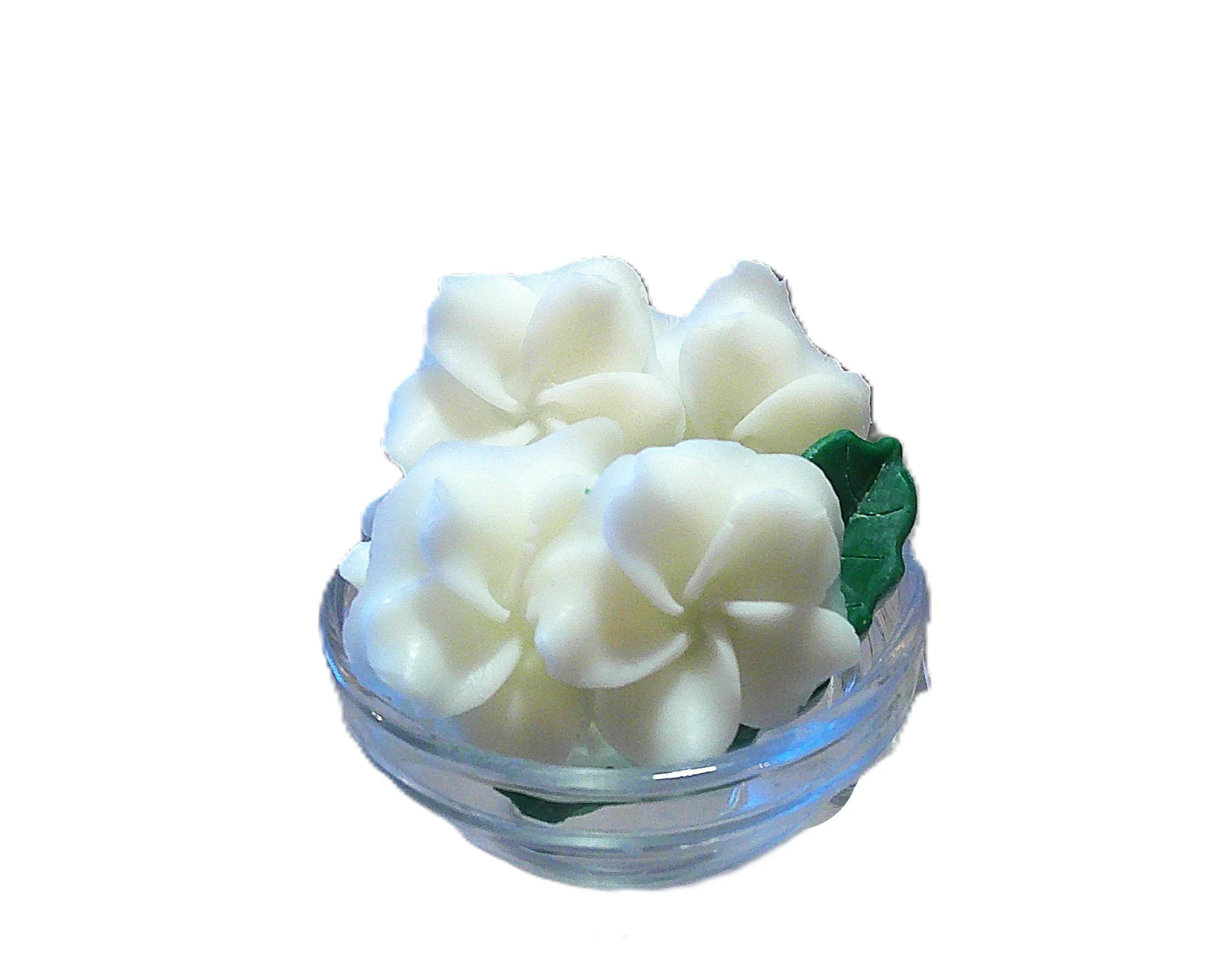 island gardenia 1.JPG