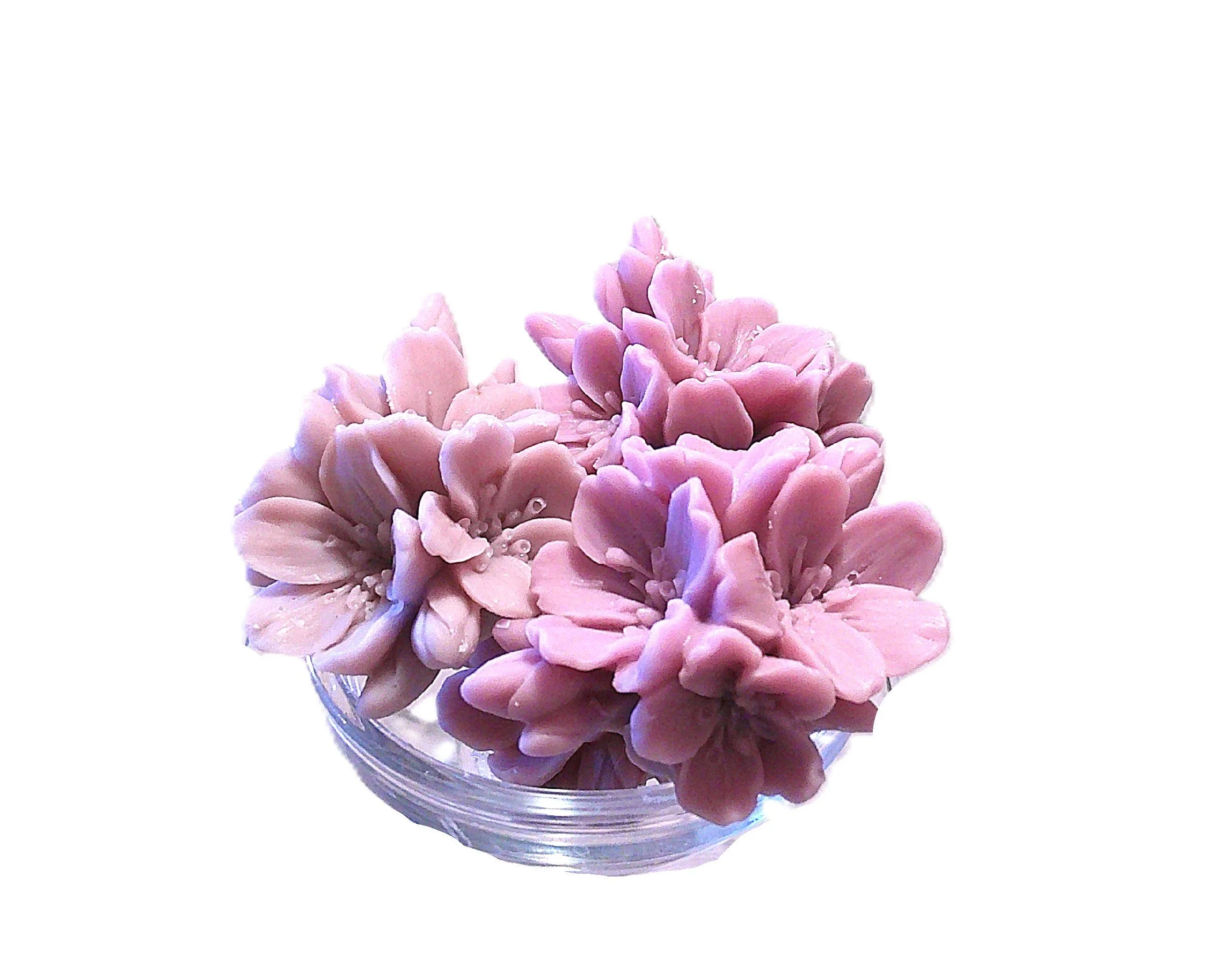 lavender white woods 1.JPG