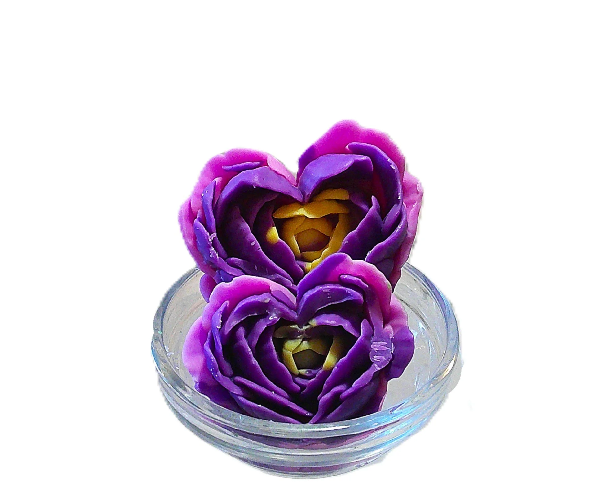 coastal water lilies hearts 1.JPG