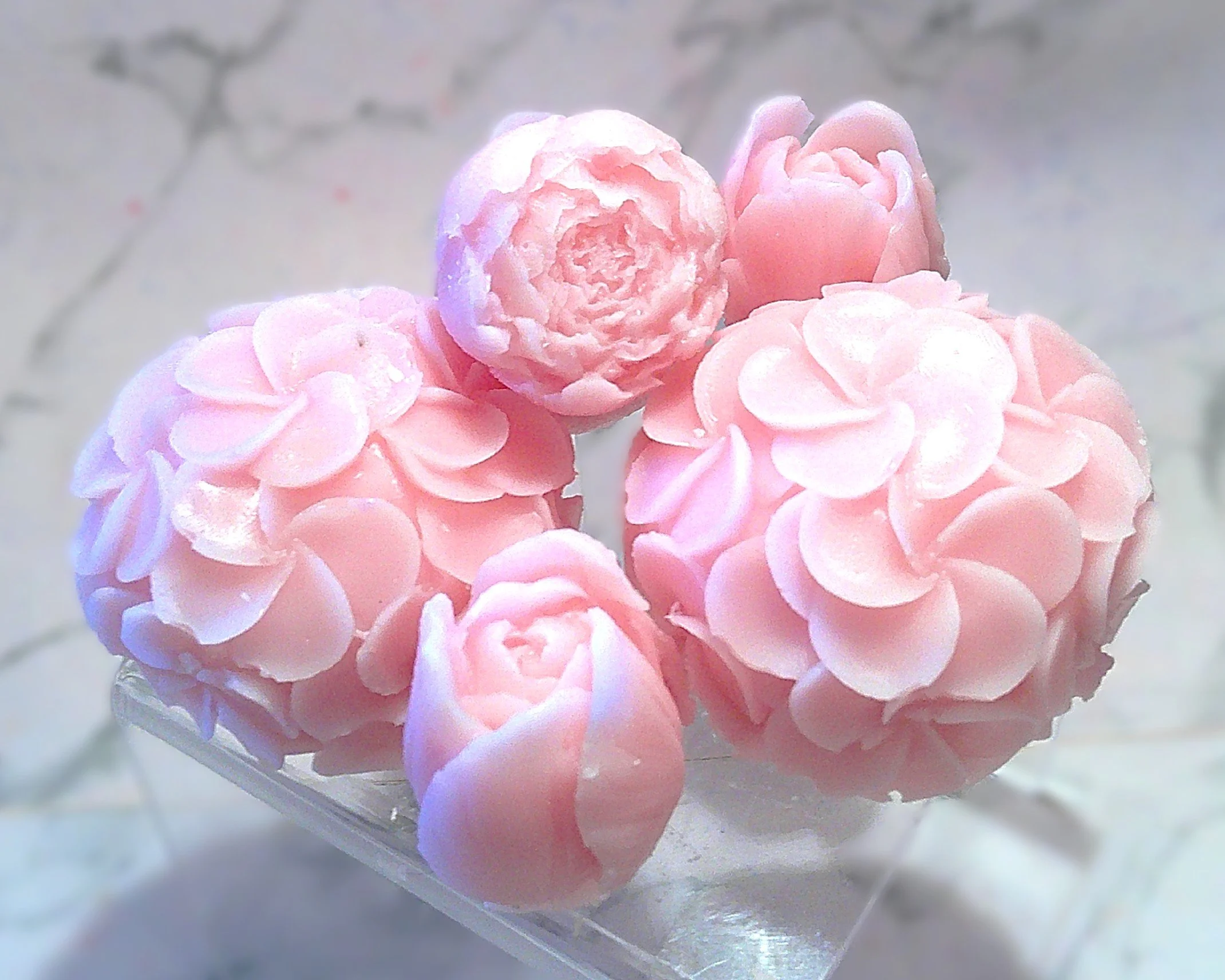 tea with daisy 2.JPG