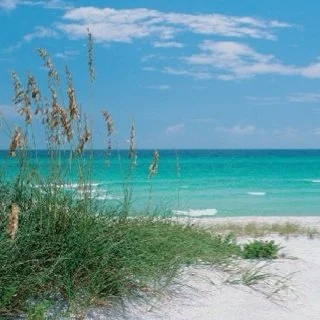 Secluded Sand Dunes - NEW!!