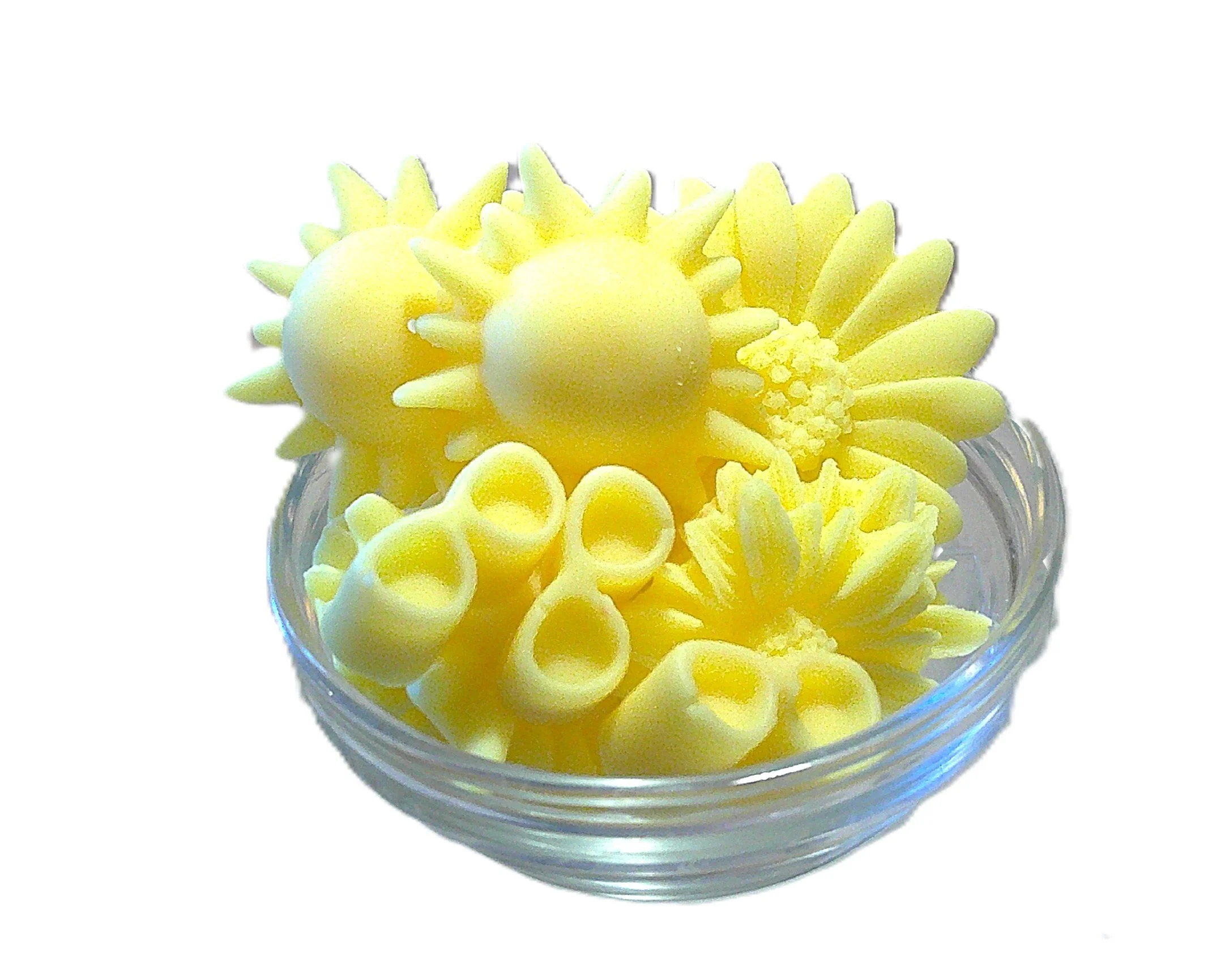 good morning sunshine 2.JPG