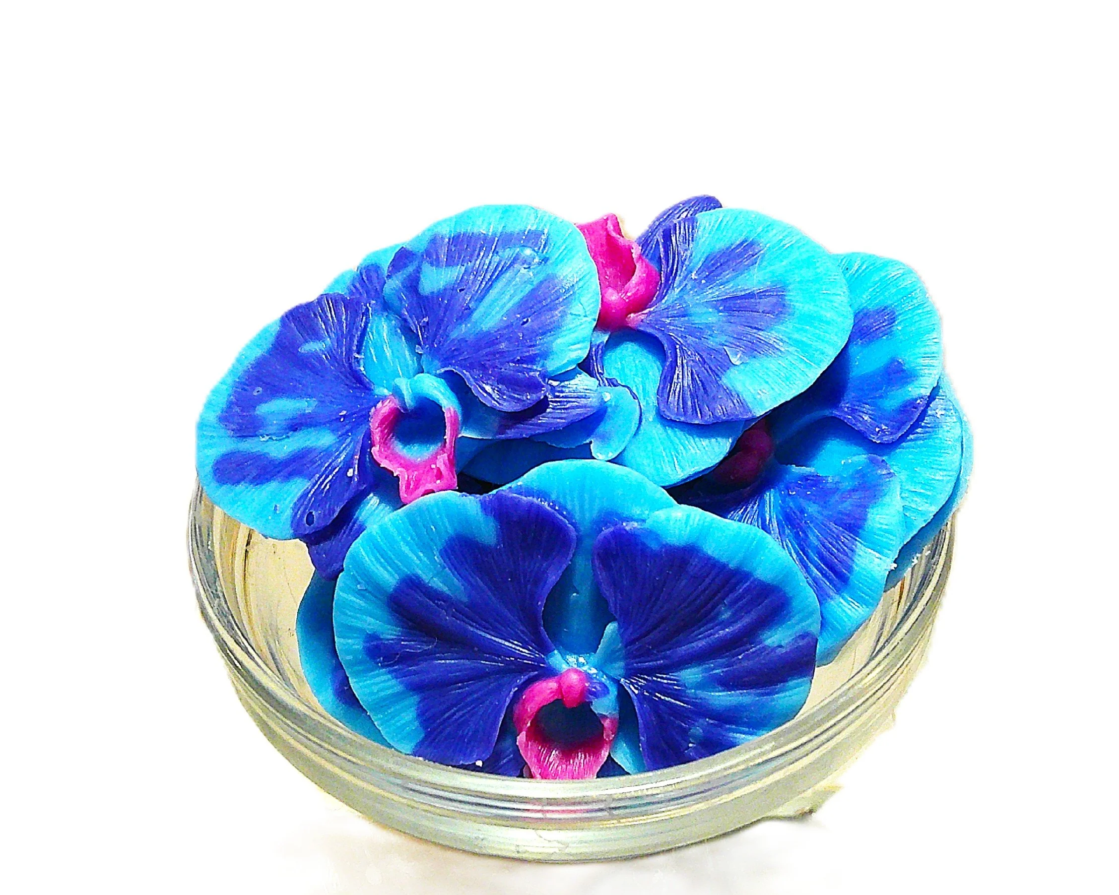 enchanted orchid 6.JPG