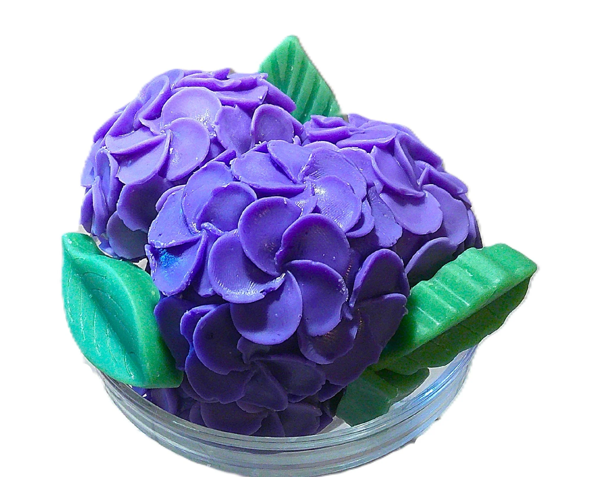 hyacinth and hydrangea 12.JPG