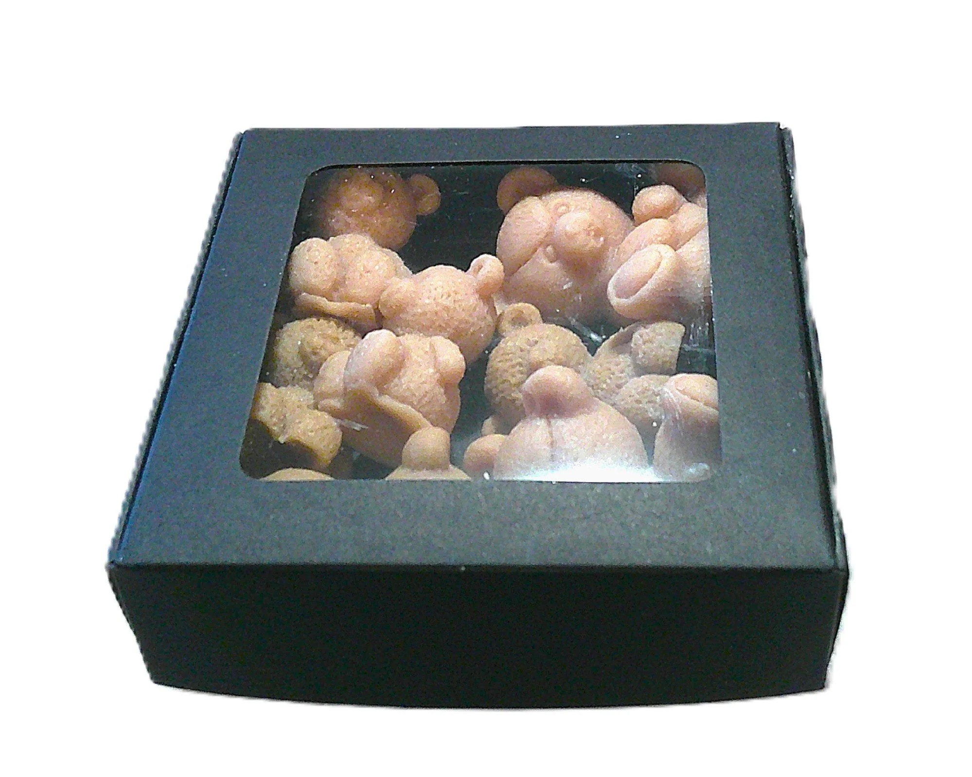 vanilla bean teddy 11.JPG
