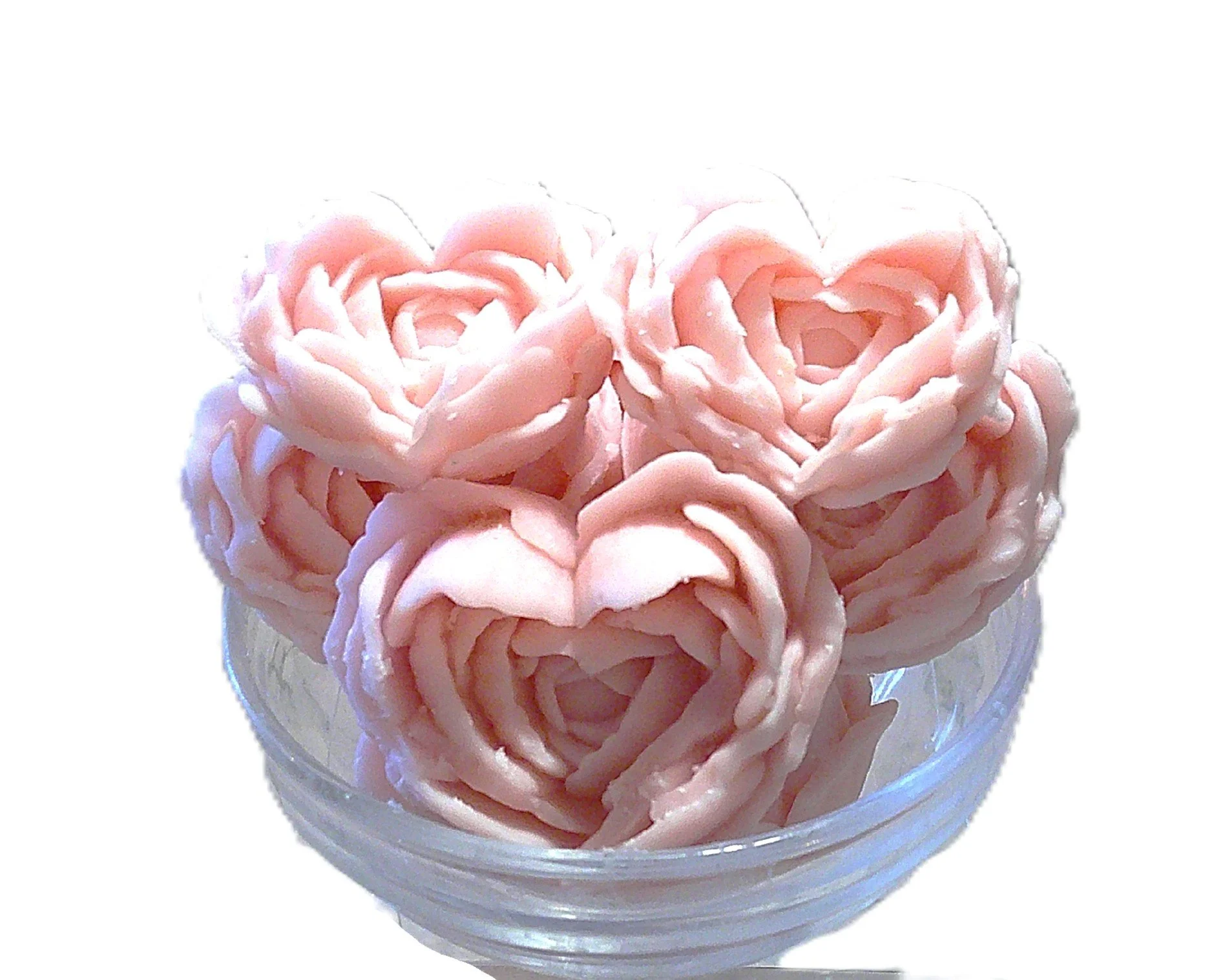 blushing tea rose 6.JPG