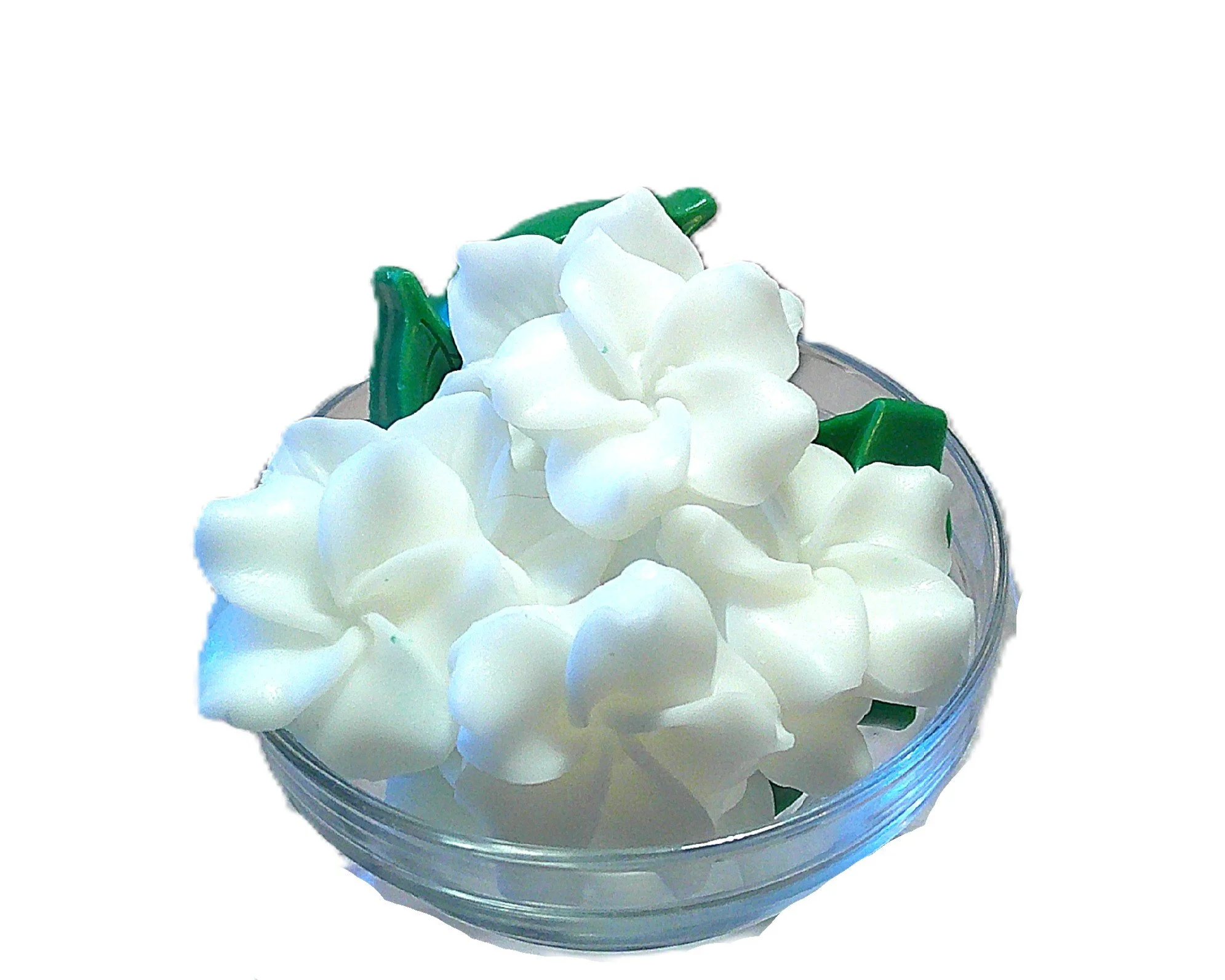 gardenia and greens 6.JPG