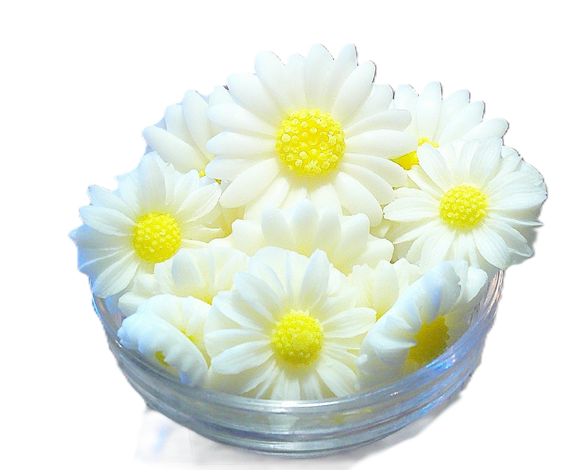 fresh as a daisy 3.JPG