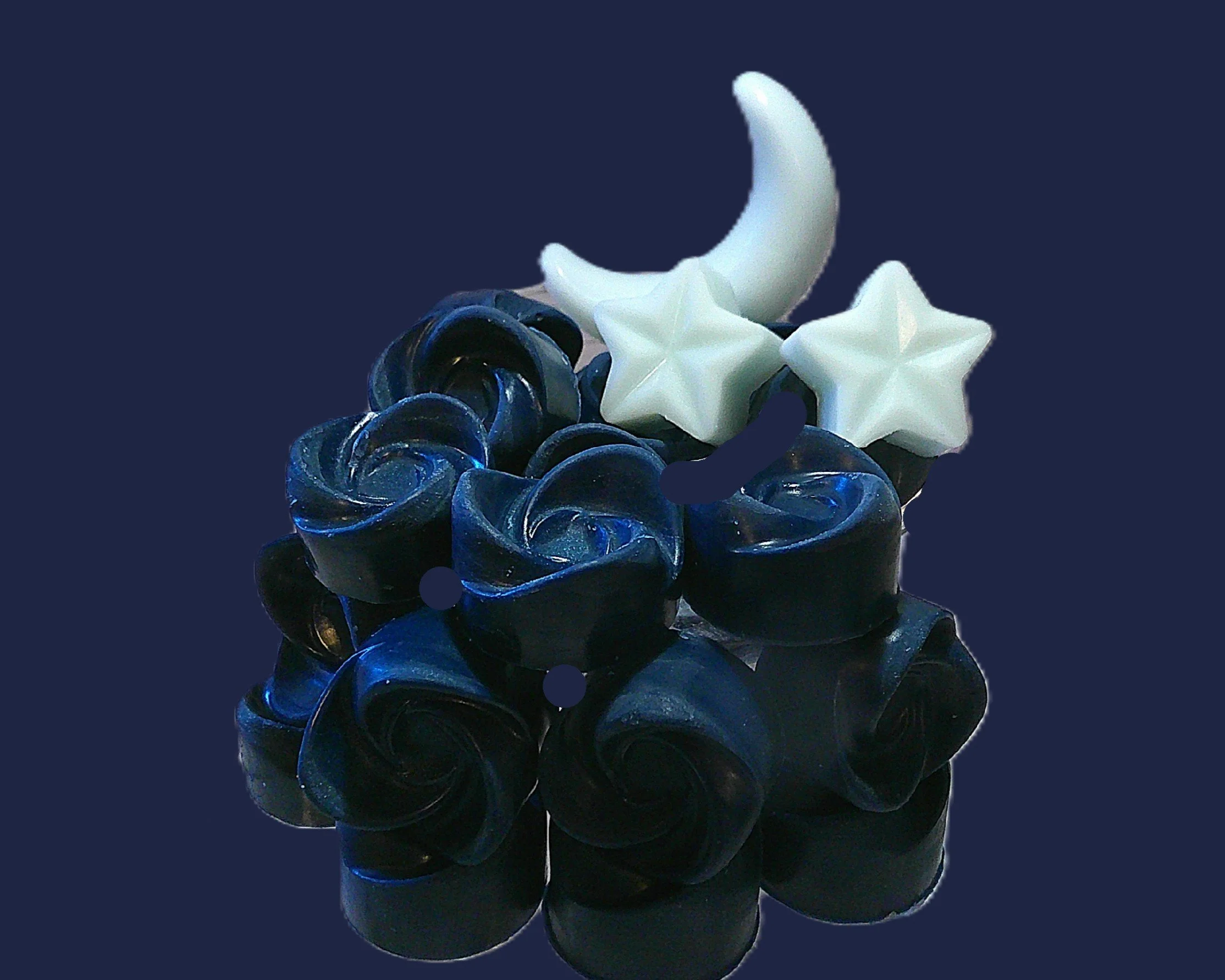 moonlight cruise 1.JPG