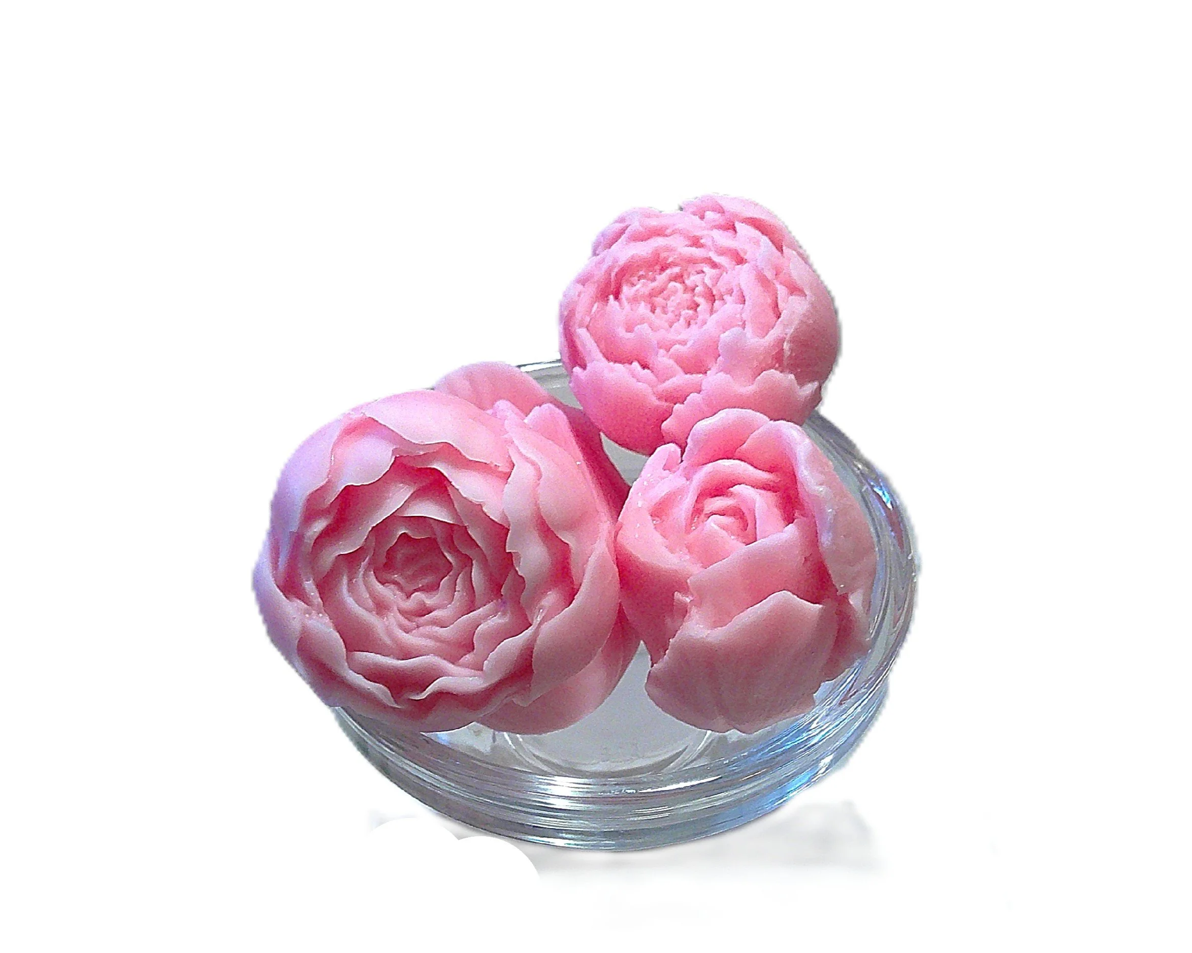 paris in spring 3.JPG