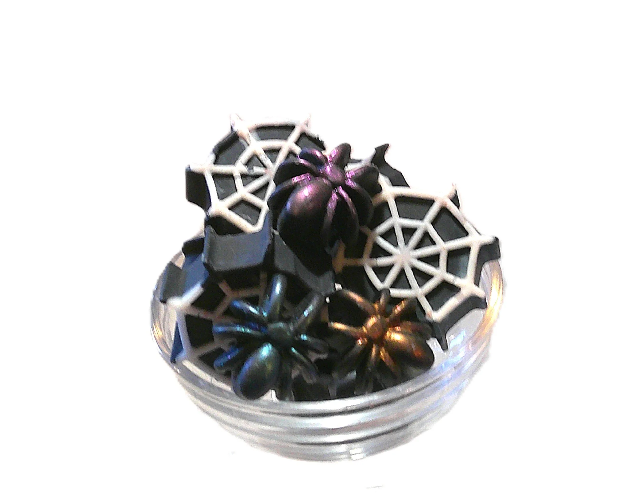 spider web 2.JPG