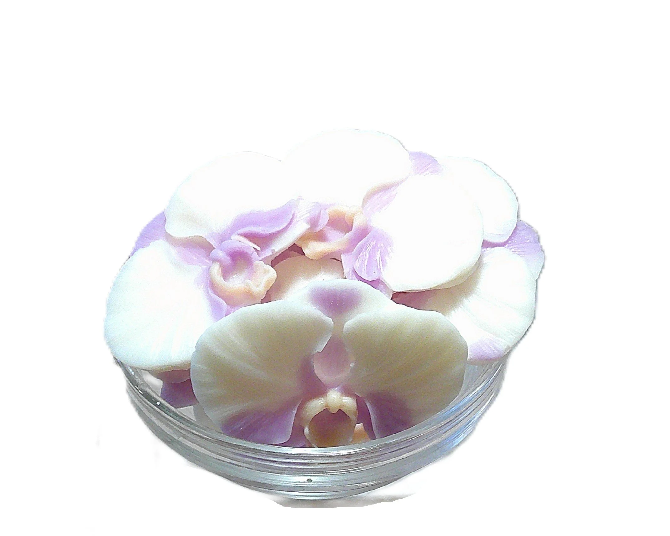 orchid gardenia fantasy 6.JPG