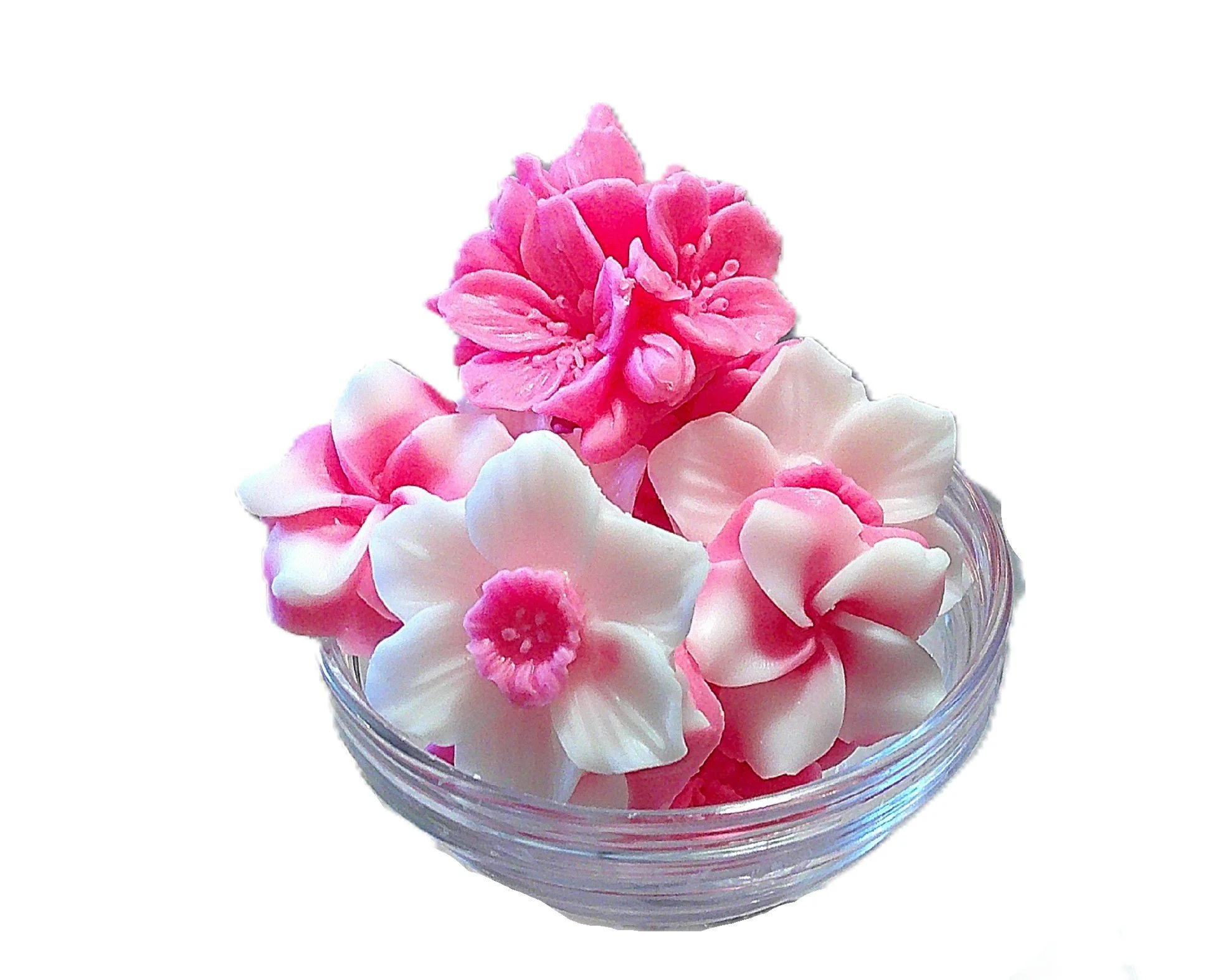 cherry blossoms 2.JPG