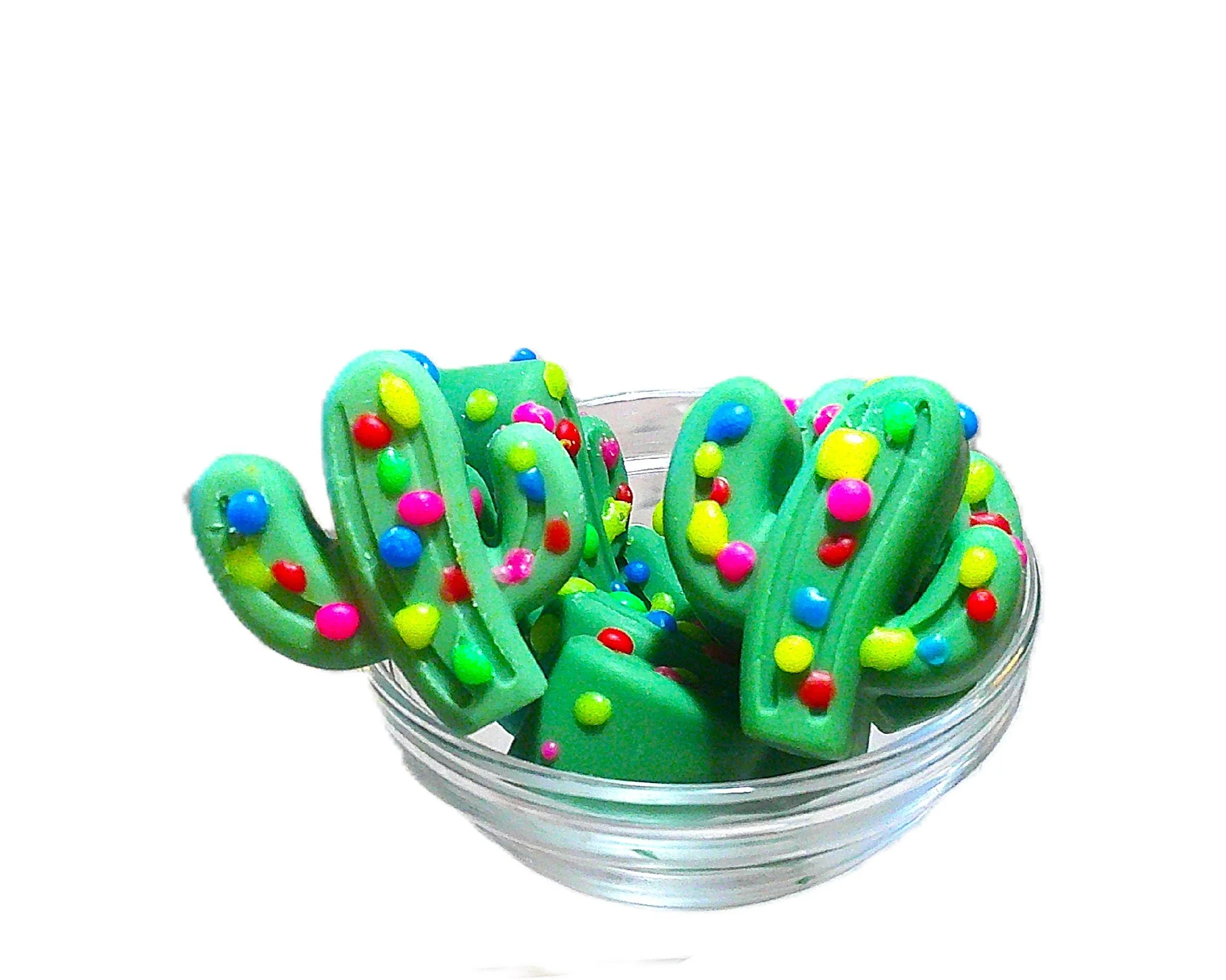 santa's seguaros 6.JPG