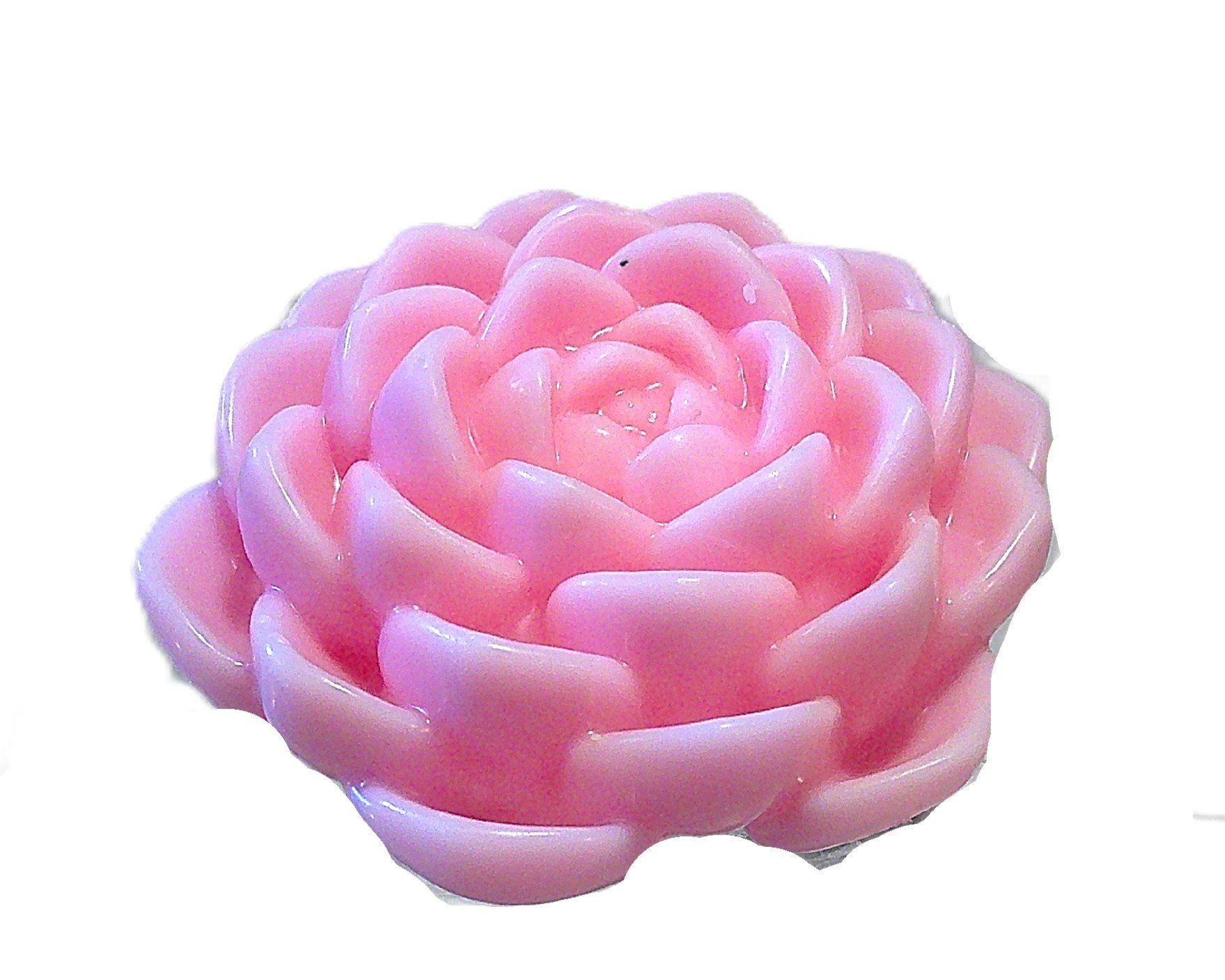 champagne and roses 5.JPG