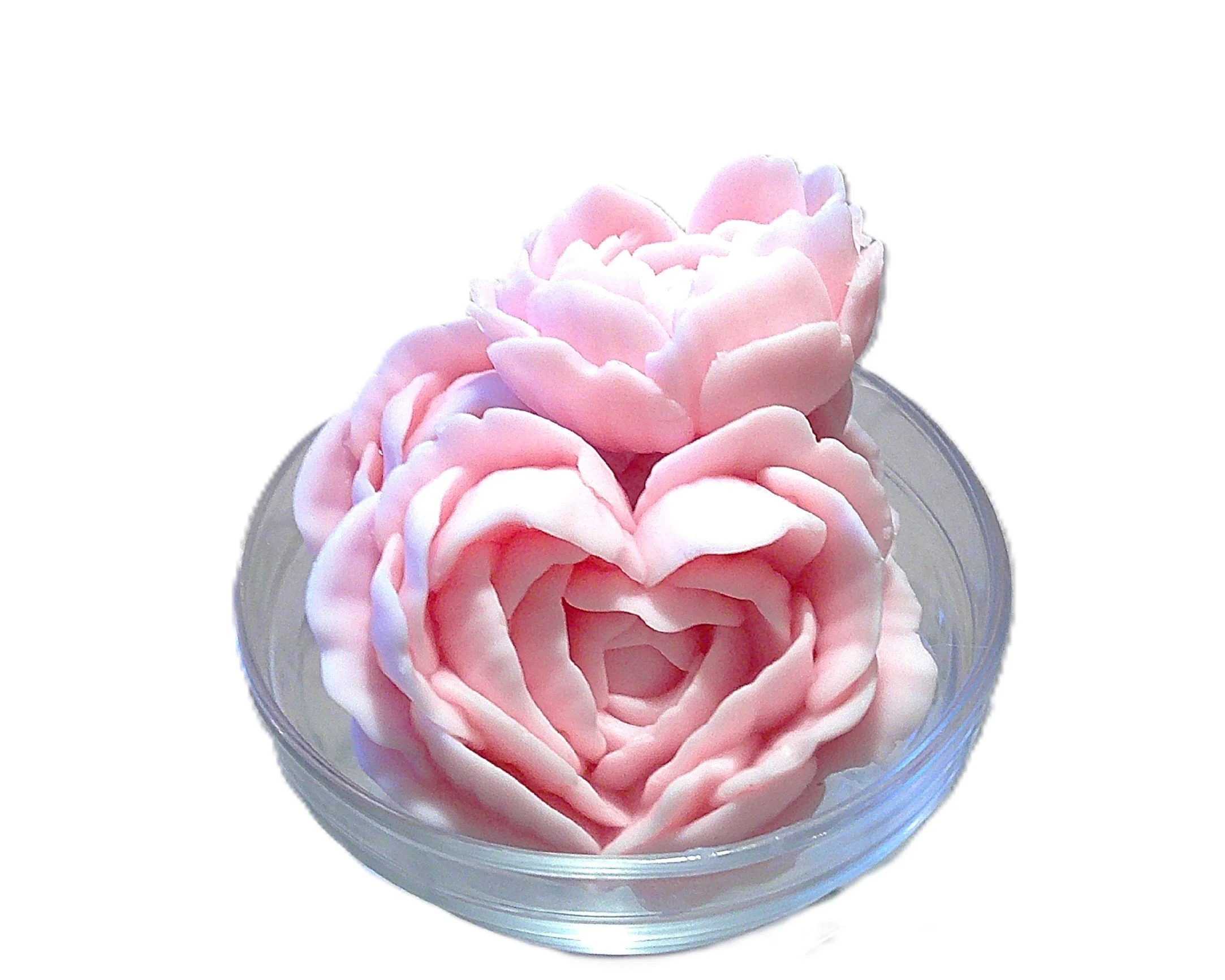 falling in love large flowers 2.JPG