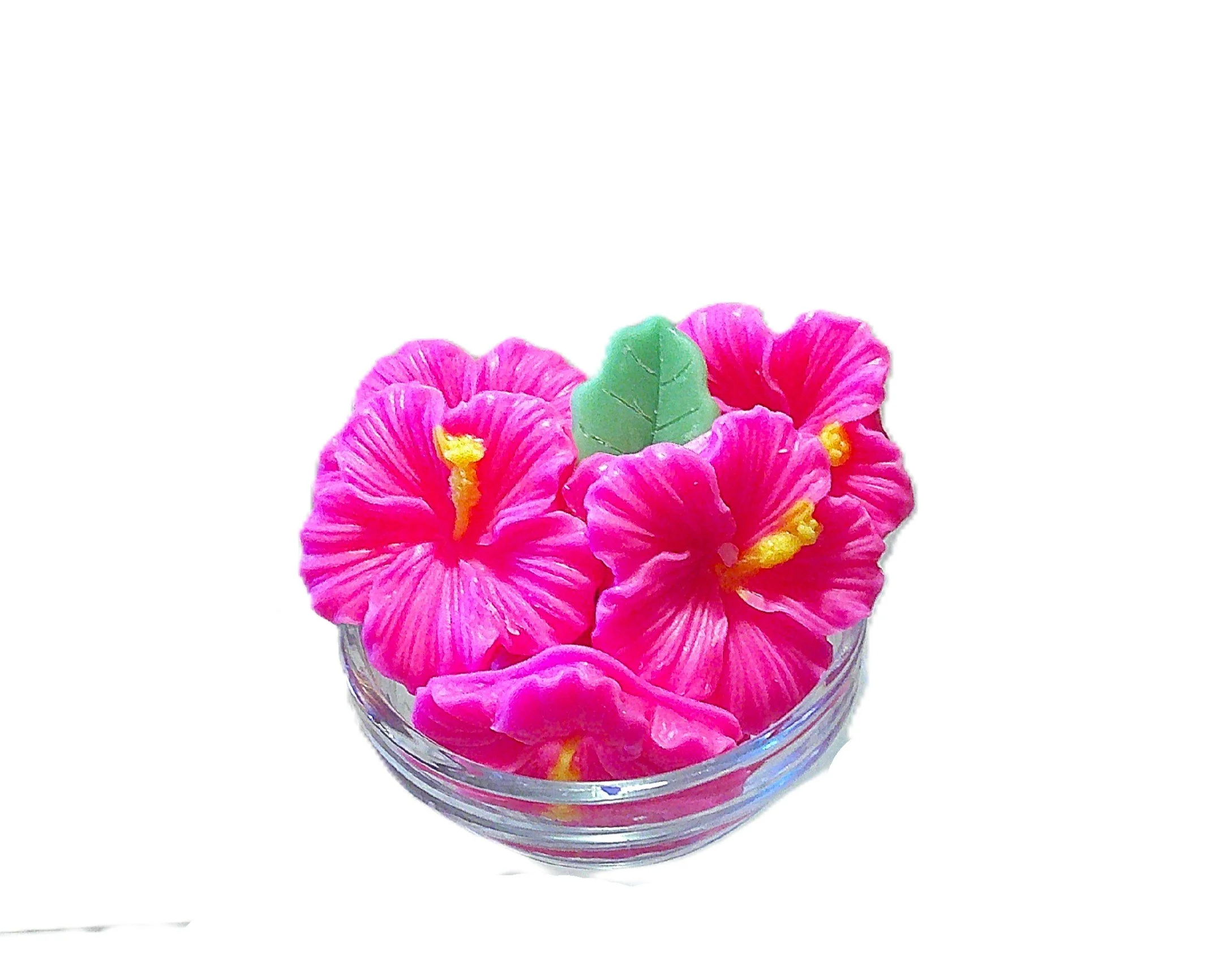 caribbean hibiscus 3.JPG