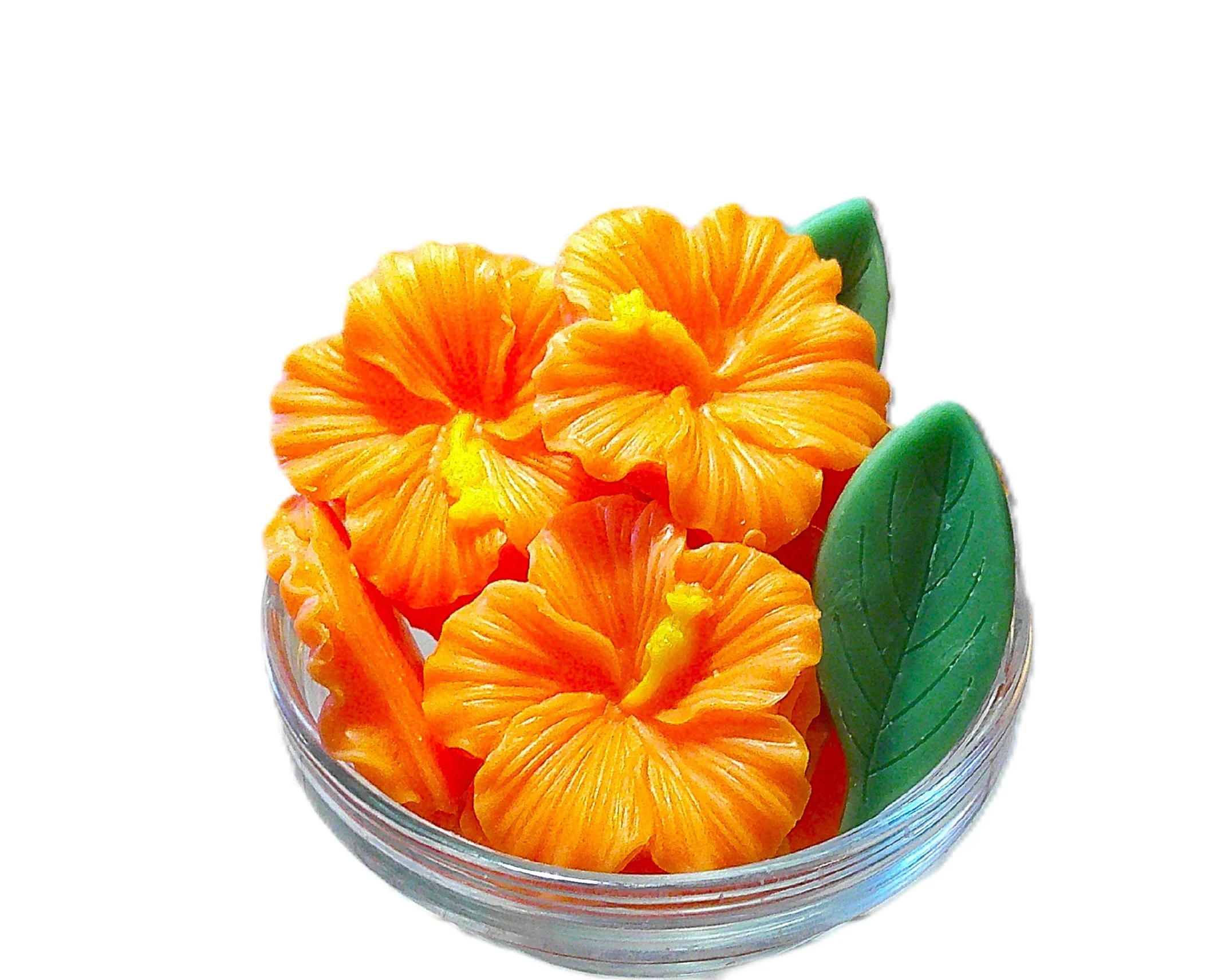 citrus hibiscus 6.JPG