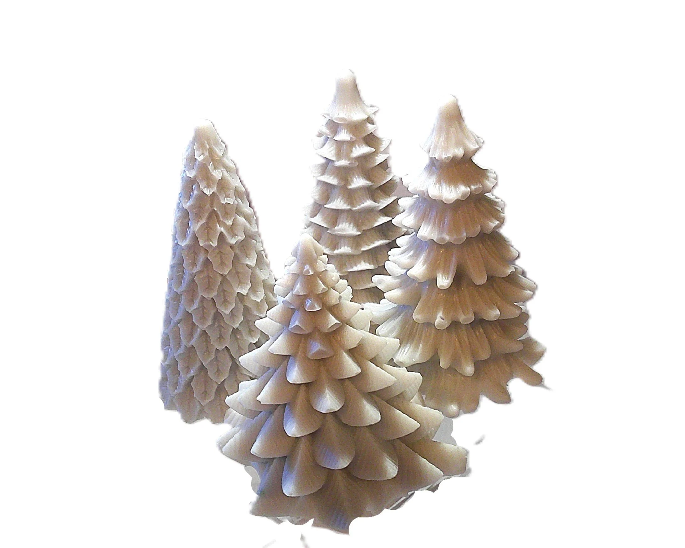 silver trees 1.JPG